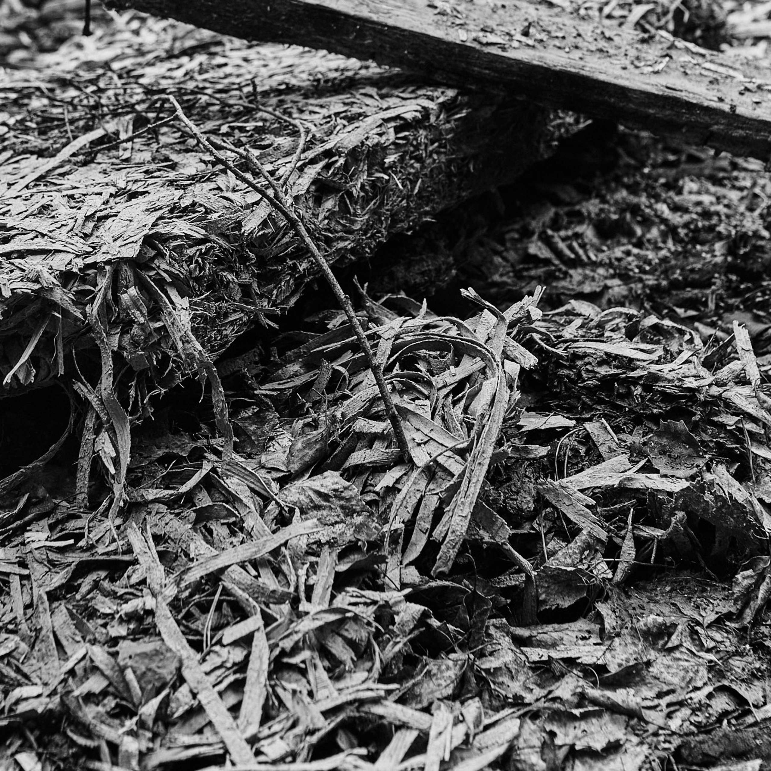 Бэкстейдж со съемок лукбука «Катарсис», дизайнер Анита Лескова. Александр Сазонов Красноярск