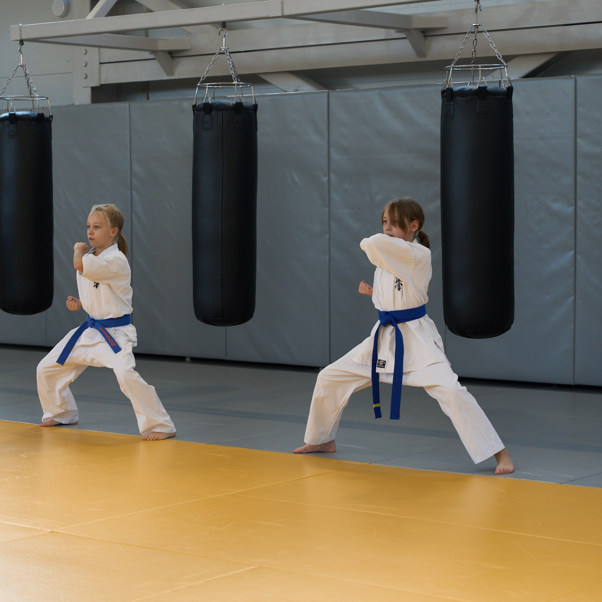 Открытие центров спортивных единоборств «Сокол» Красноярск/Дивногорск. Александр Сазонов Красноярск