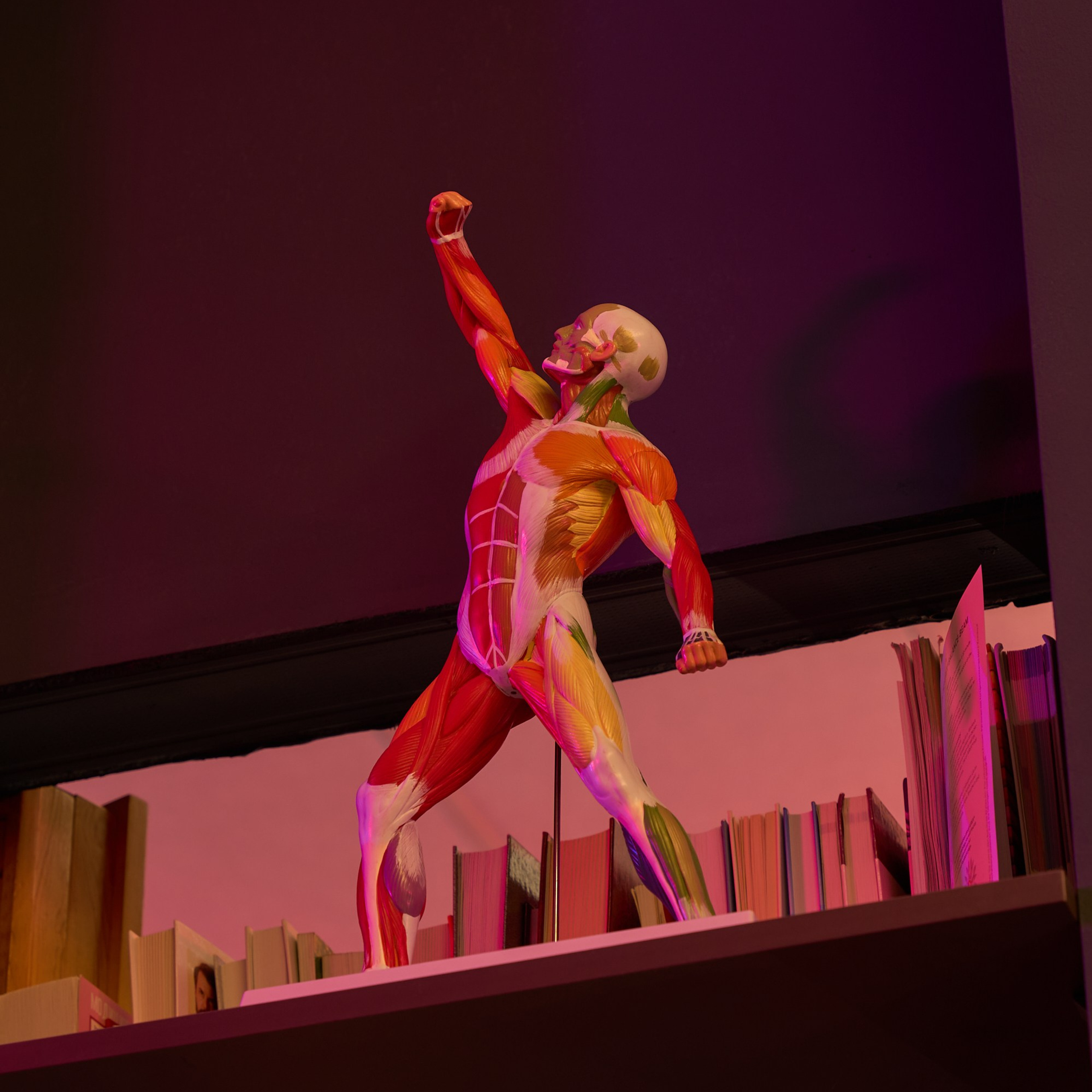 Студия персонального фитнеса «Физкультура». Александр Сазонов Красноярск