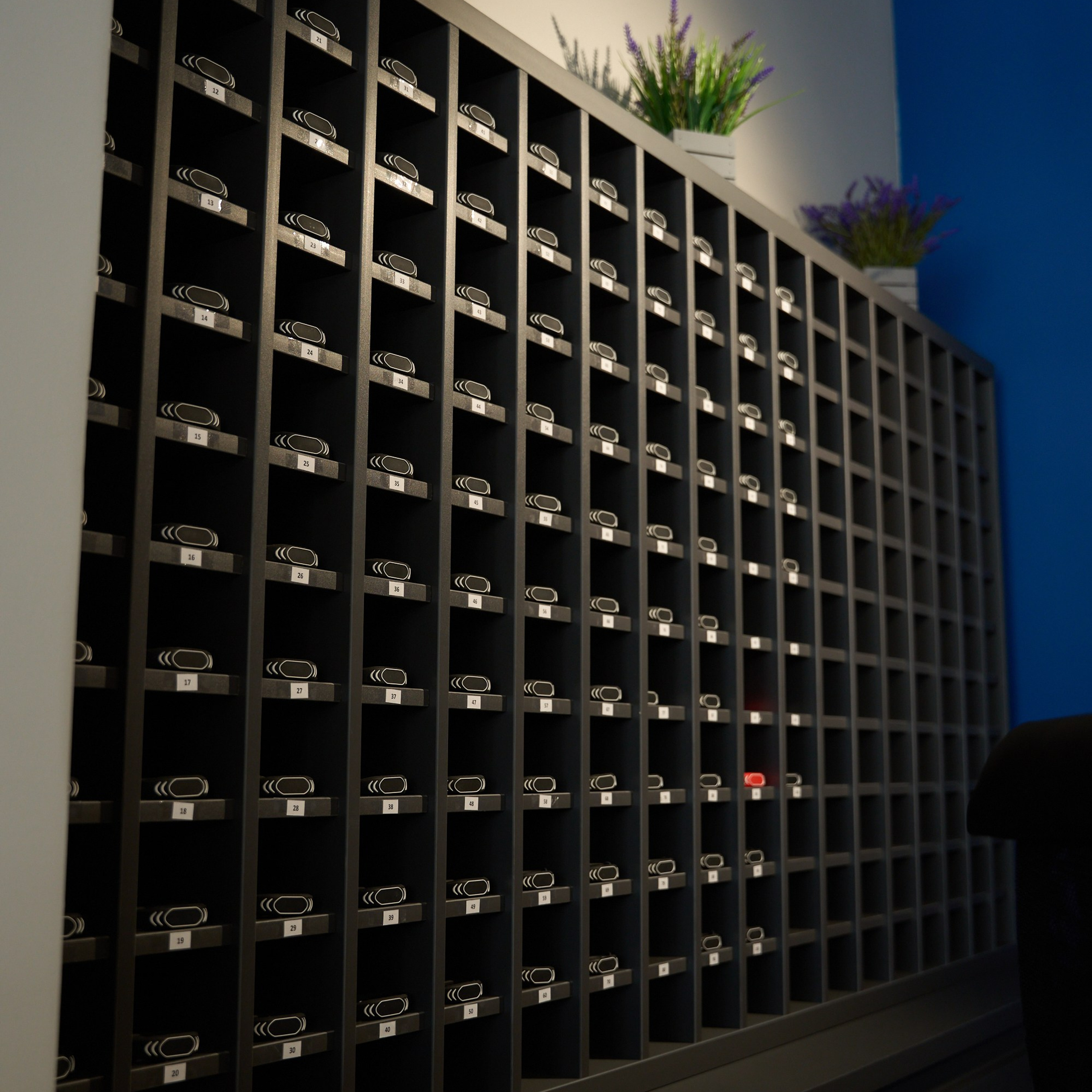 Открытие центров спортивных единоборств «Сокол» Красноярск/Дивногорск. Александр Сазонов Красноярск