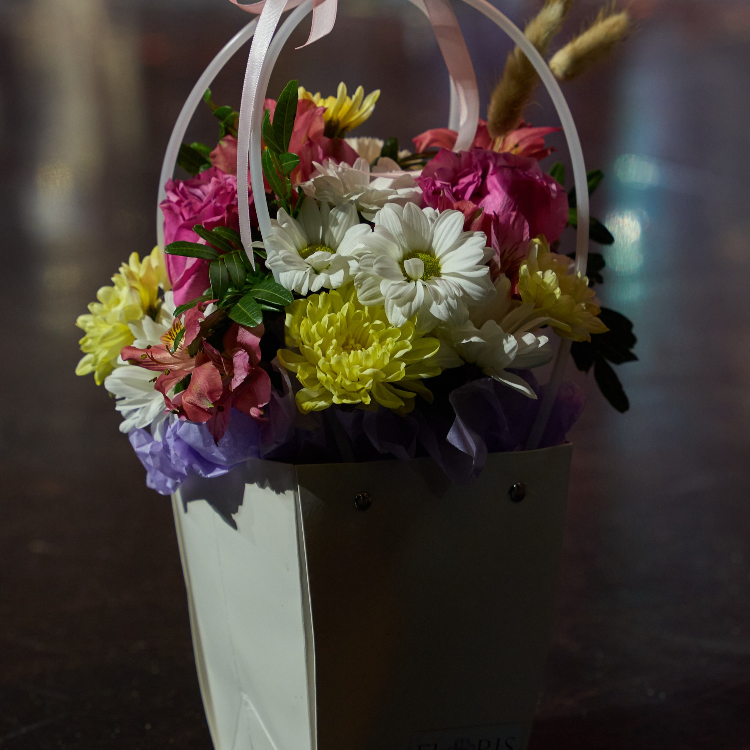 Азия Сибирь | Красноярск. Александр Сазонов Красноярск