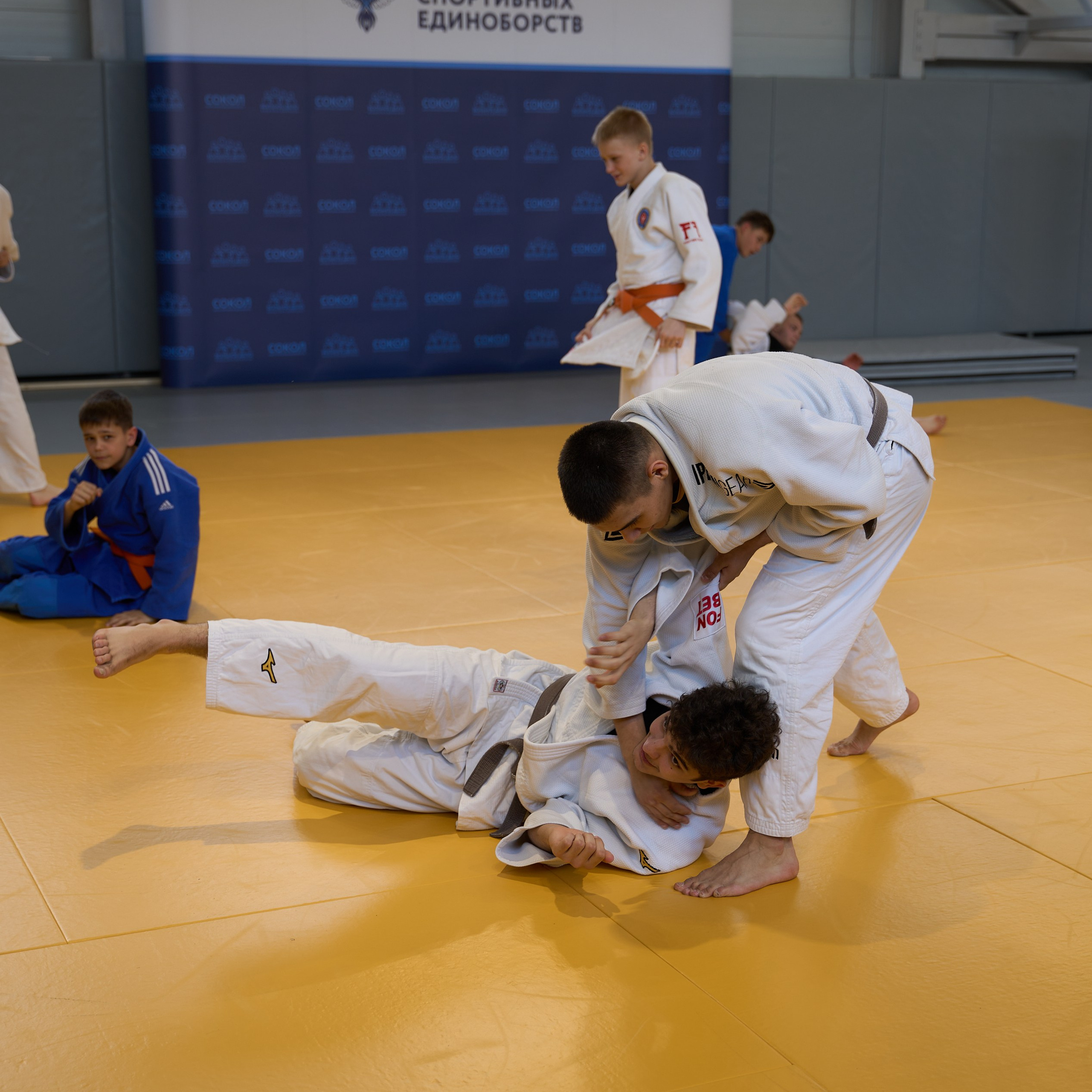 Открытие центров спортивных единоборств «Сокол» Красноярск/Дивногорск. Александр Сазонов Красноярск