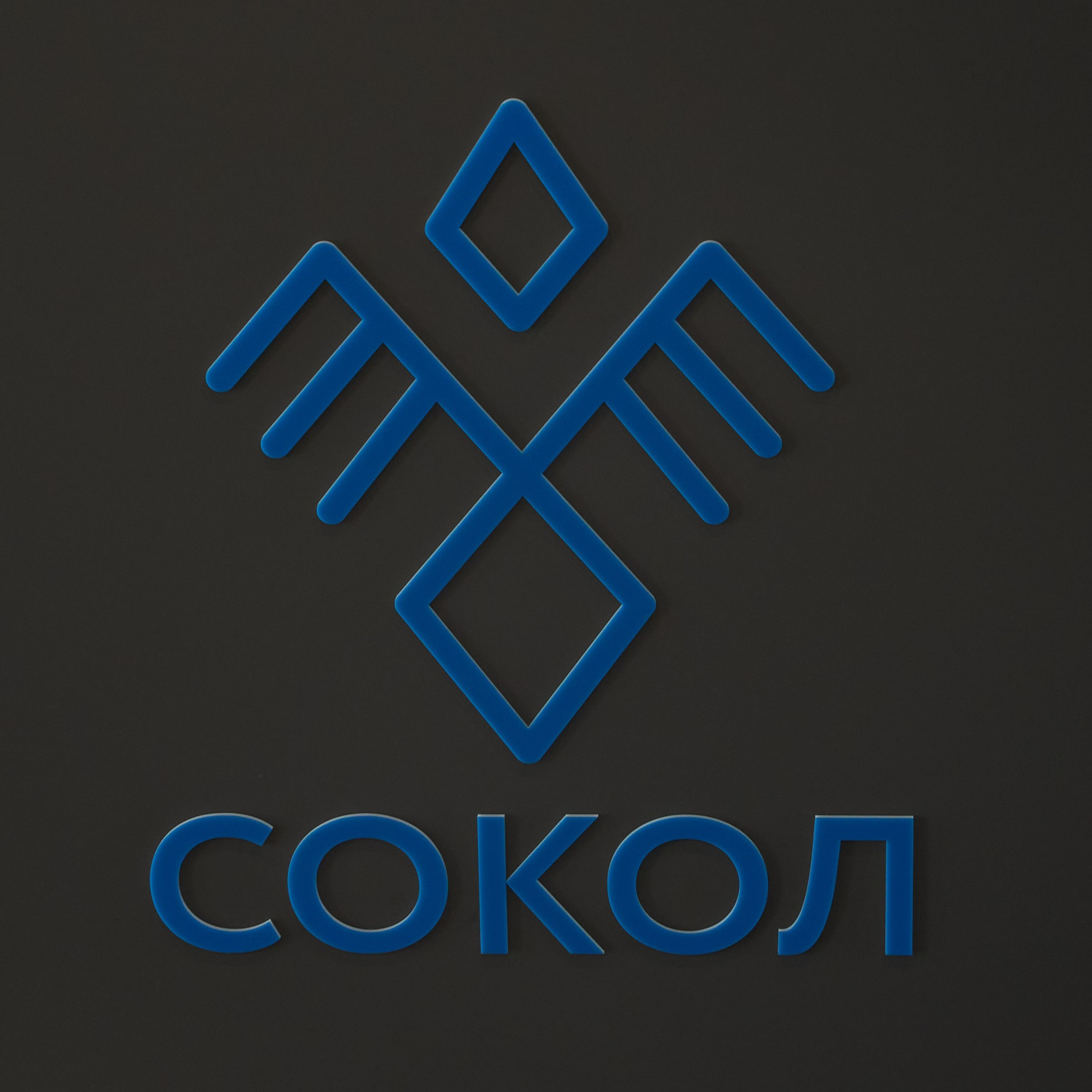 Открытие центров спортивных единоборств «Сокол» Красноярск/Дивногорск. Александр Сазонов Красноярск