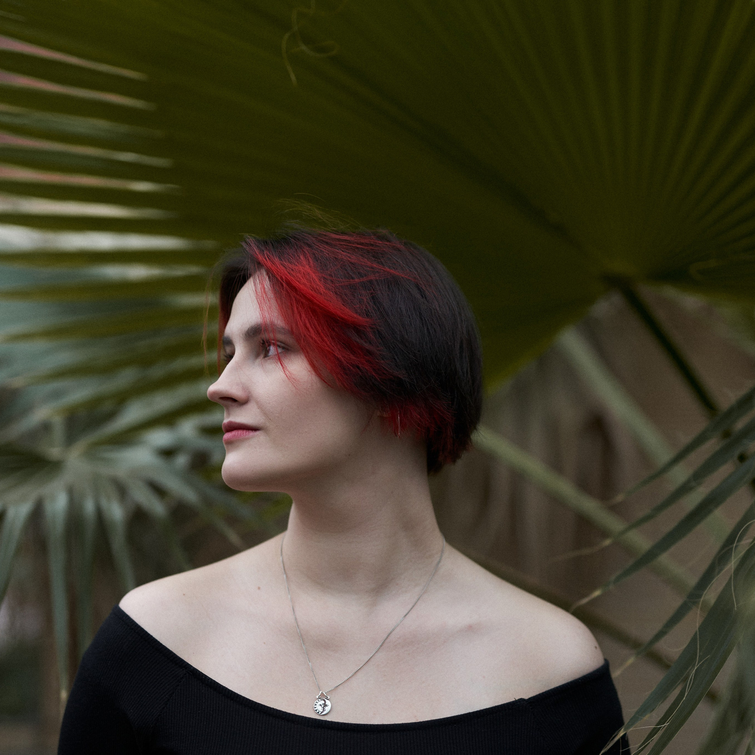 Wild Les. Александр Сазонов Красноярск