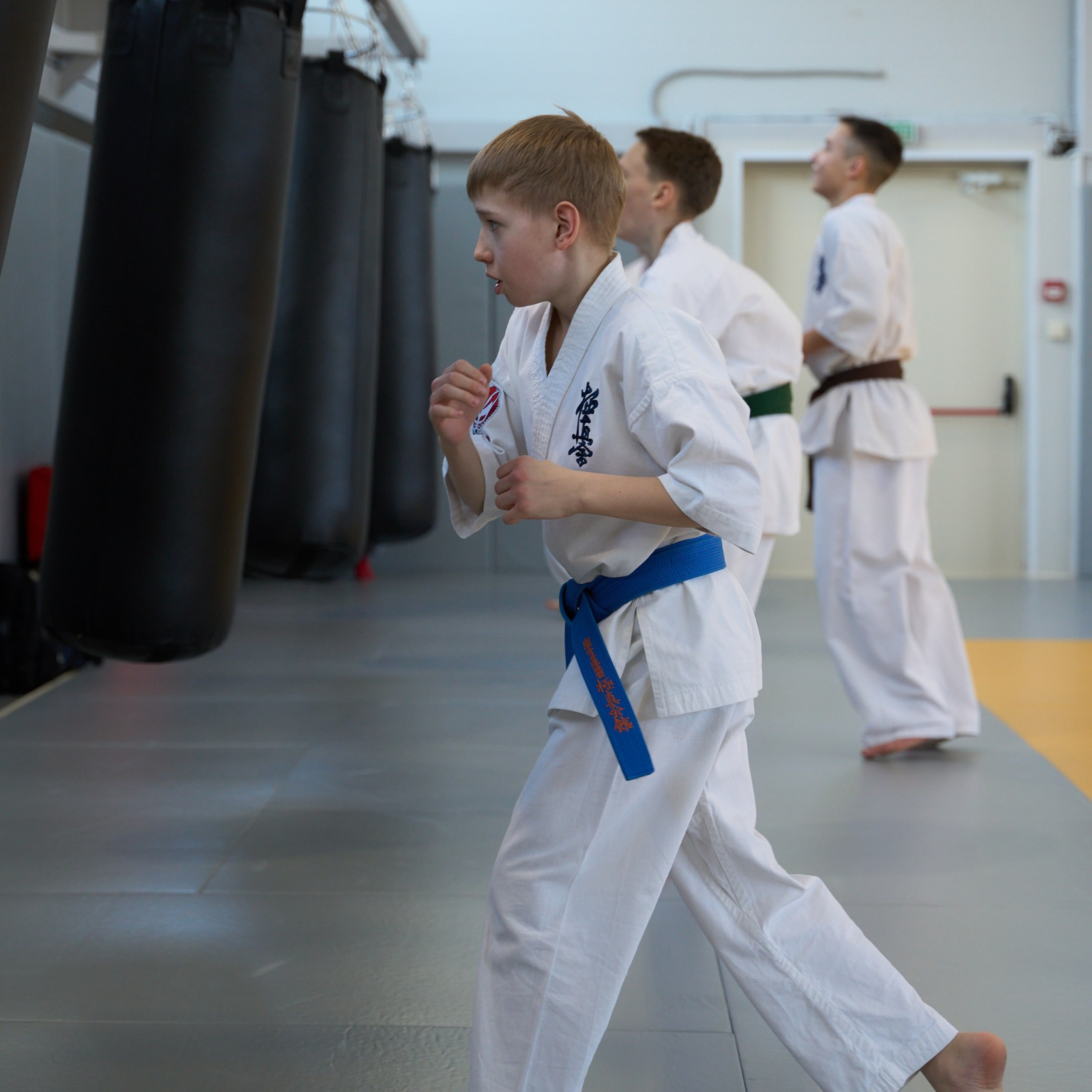 Открытие центров спортивных единоборств «Сокол» Красноярск/Дивногорск. Александр Сазонов Красноярск