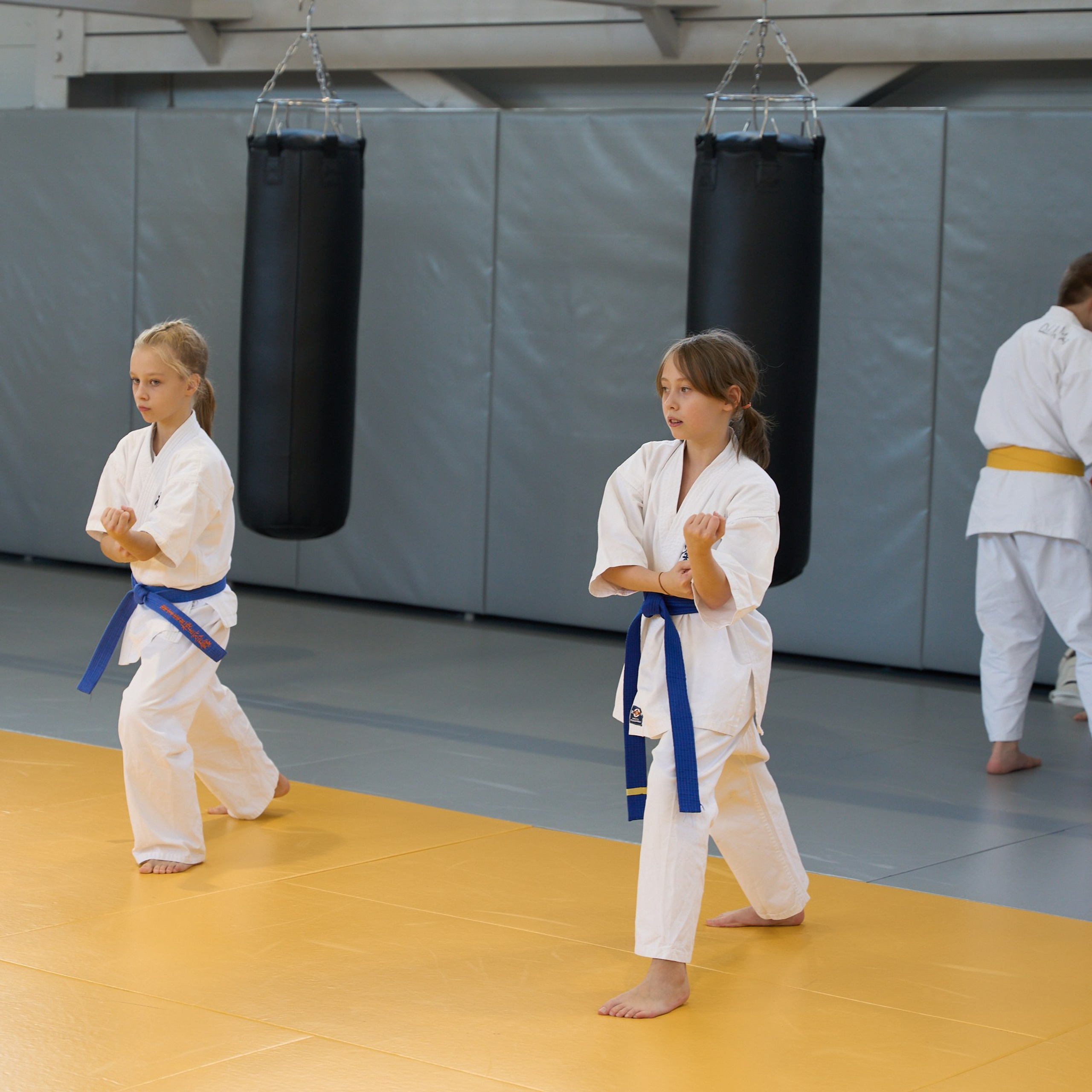 Открытие центров спортивных единоборств «Сокол» Красноярск/Дивногорск. Александр Сазонов Красноярск