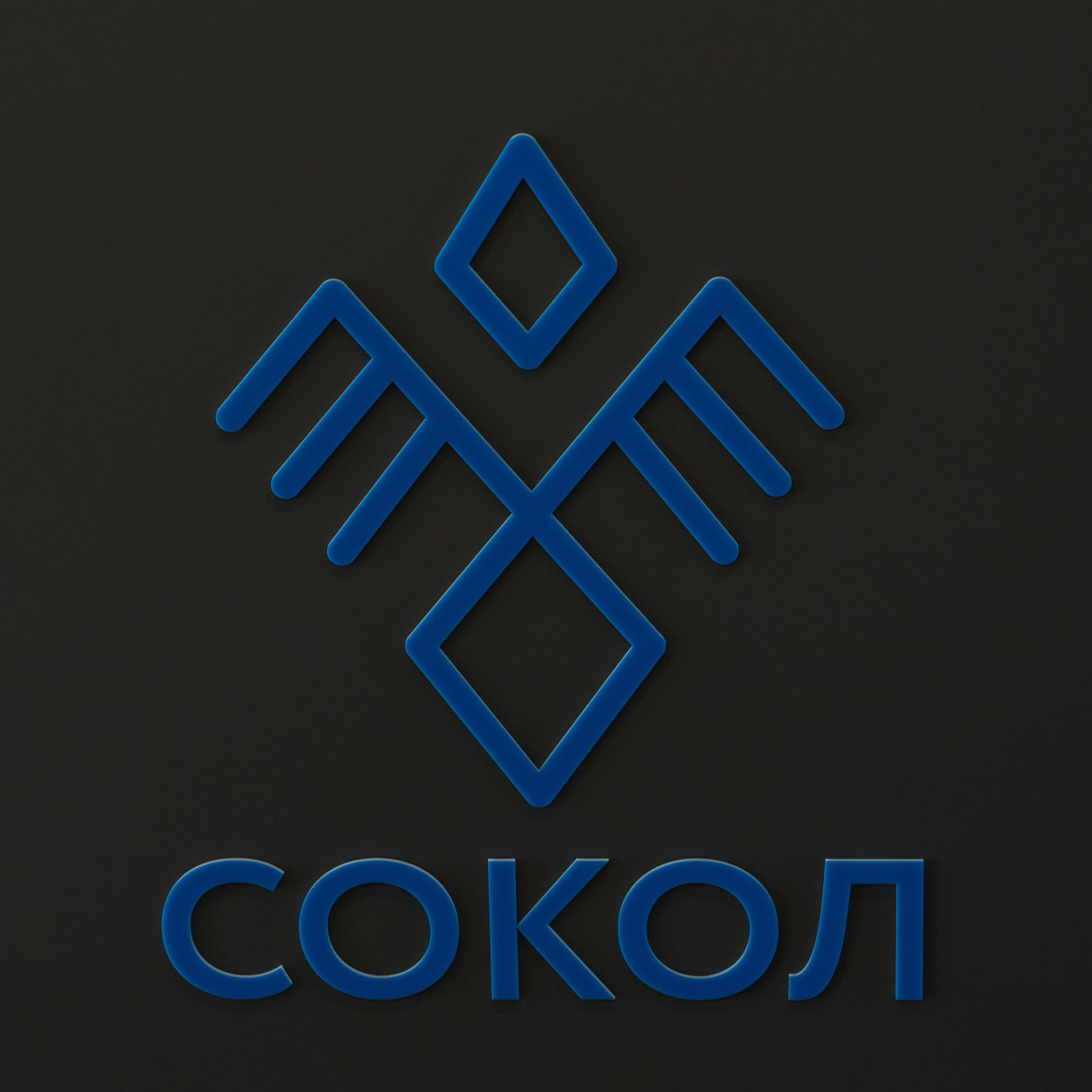 Открытие центров спортивных единоборств «Сокол» Красноярск/Дивногорск. Александр Сазонов Красноярск