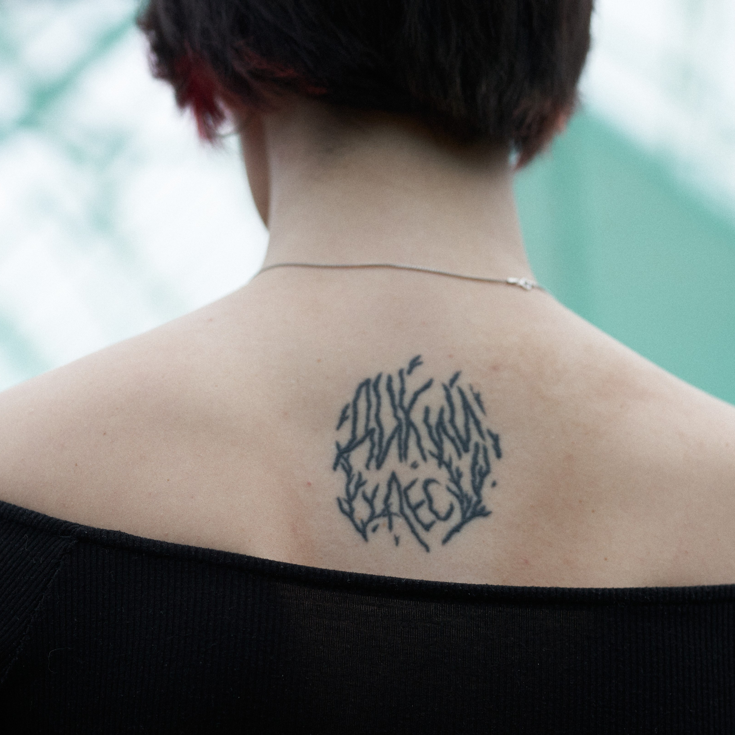 Wild Les. Александр Сазонов Красноярск