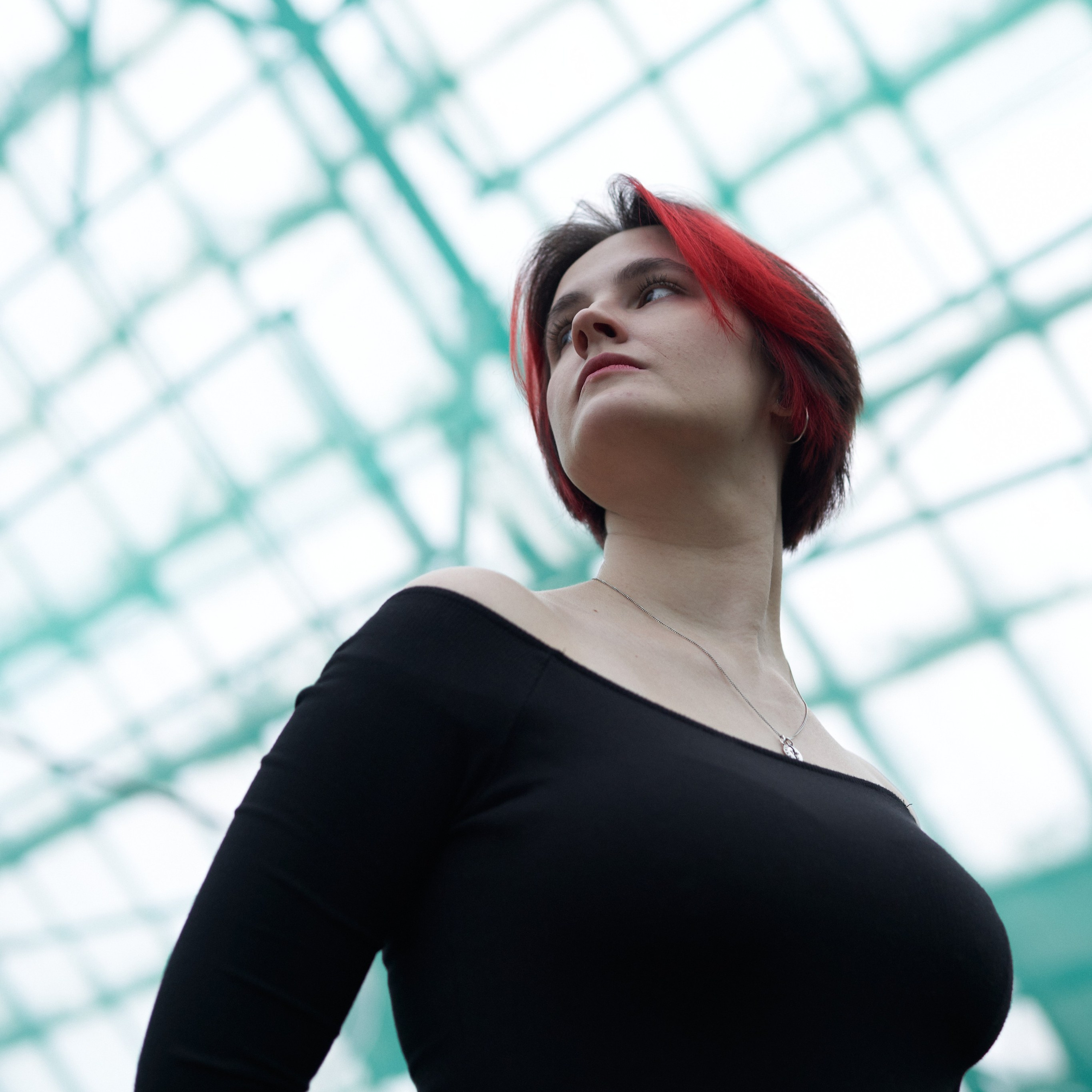 Wild Les. Александр Сазонов Красноярск