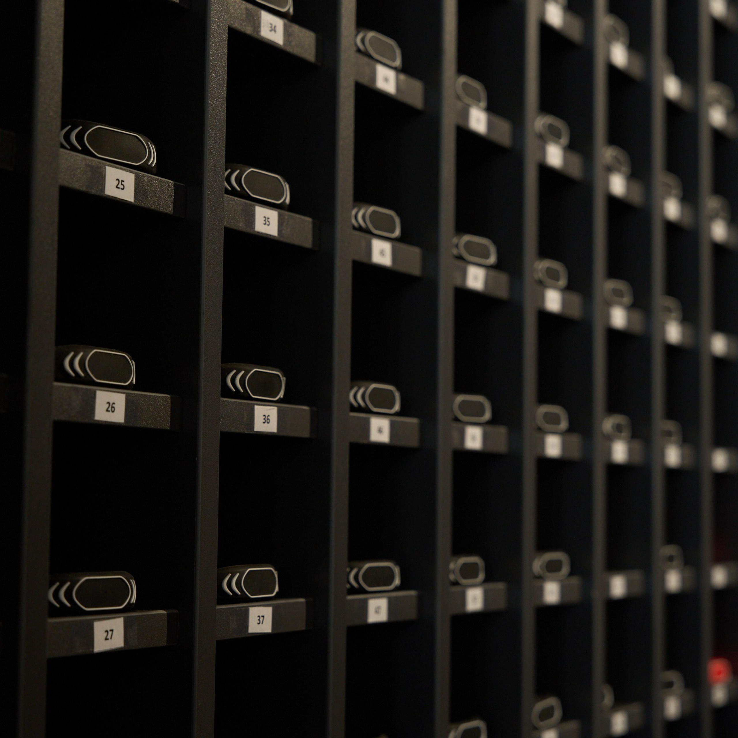 Открытие центров спортивных единоборств «Сокол» Красноярск/Дивногорск. Александр Сазонов Красноярск