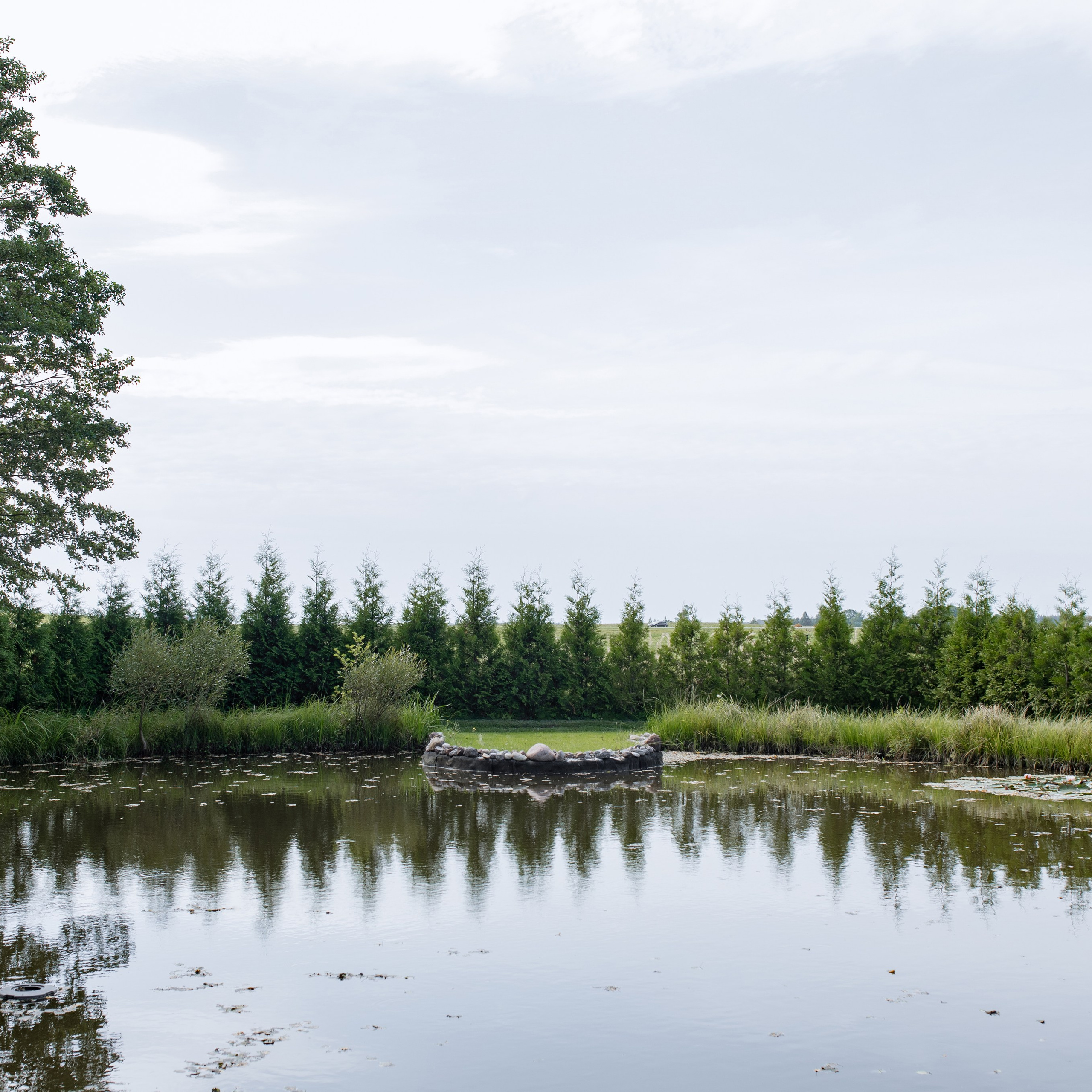 Ангелина и Дима