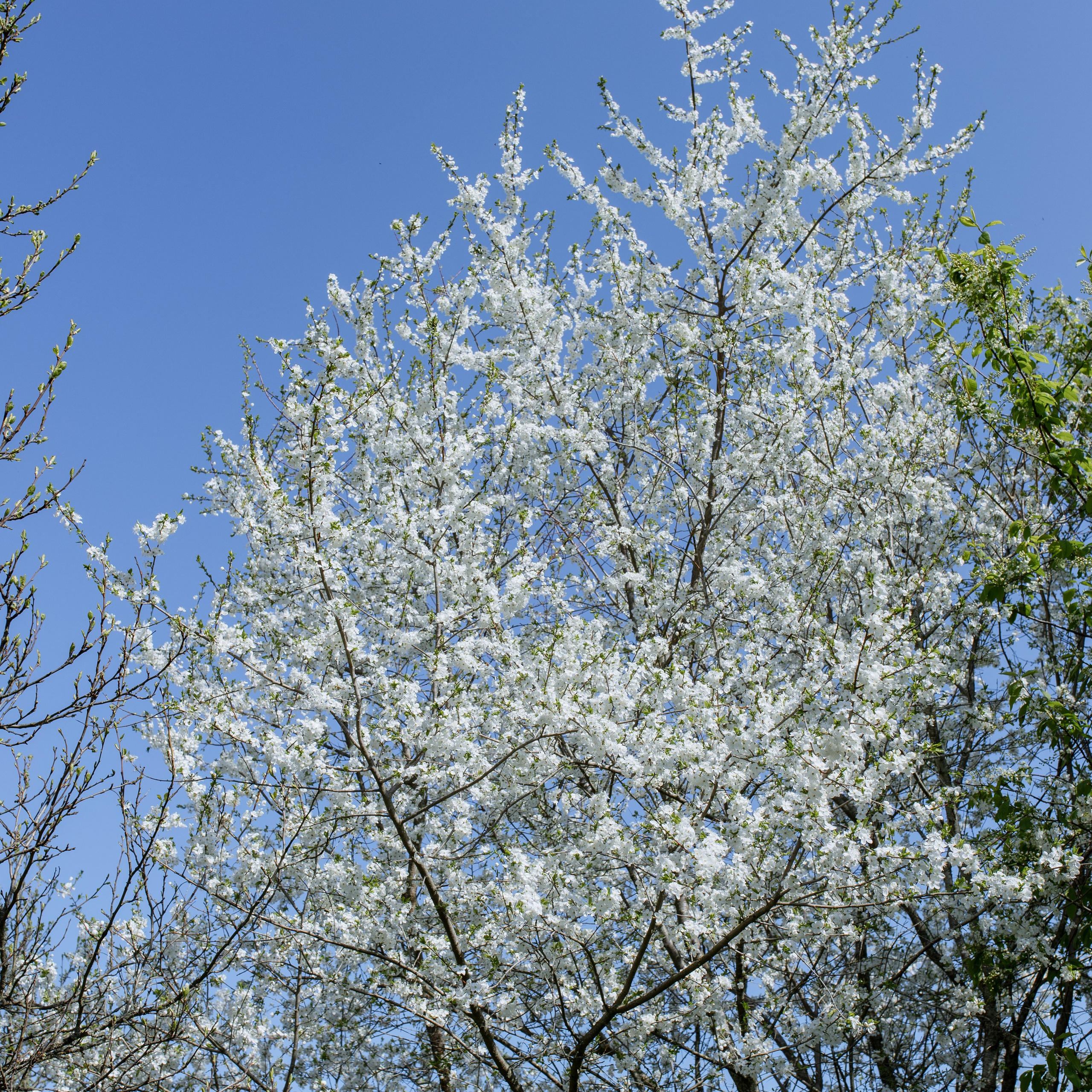 Виктория и Илья