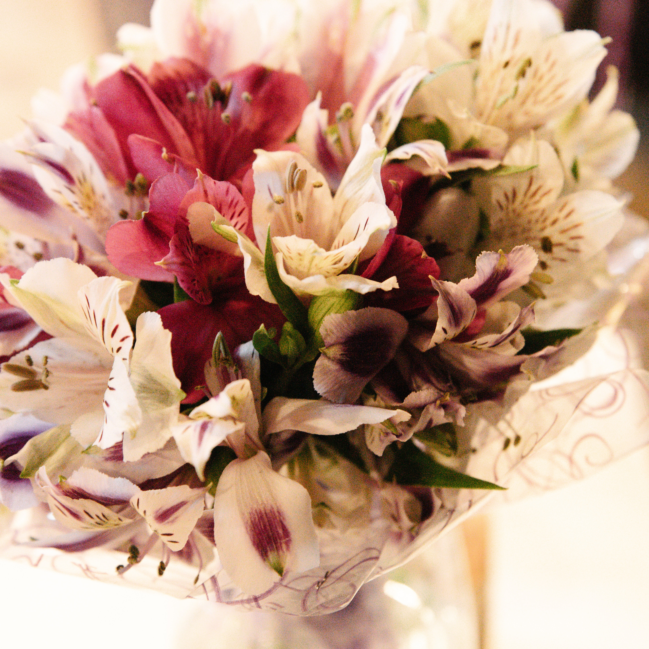 Отзывы. Фотограф Даша Гуреева