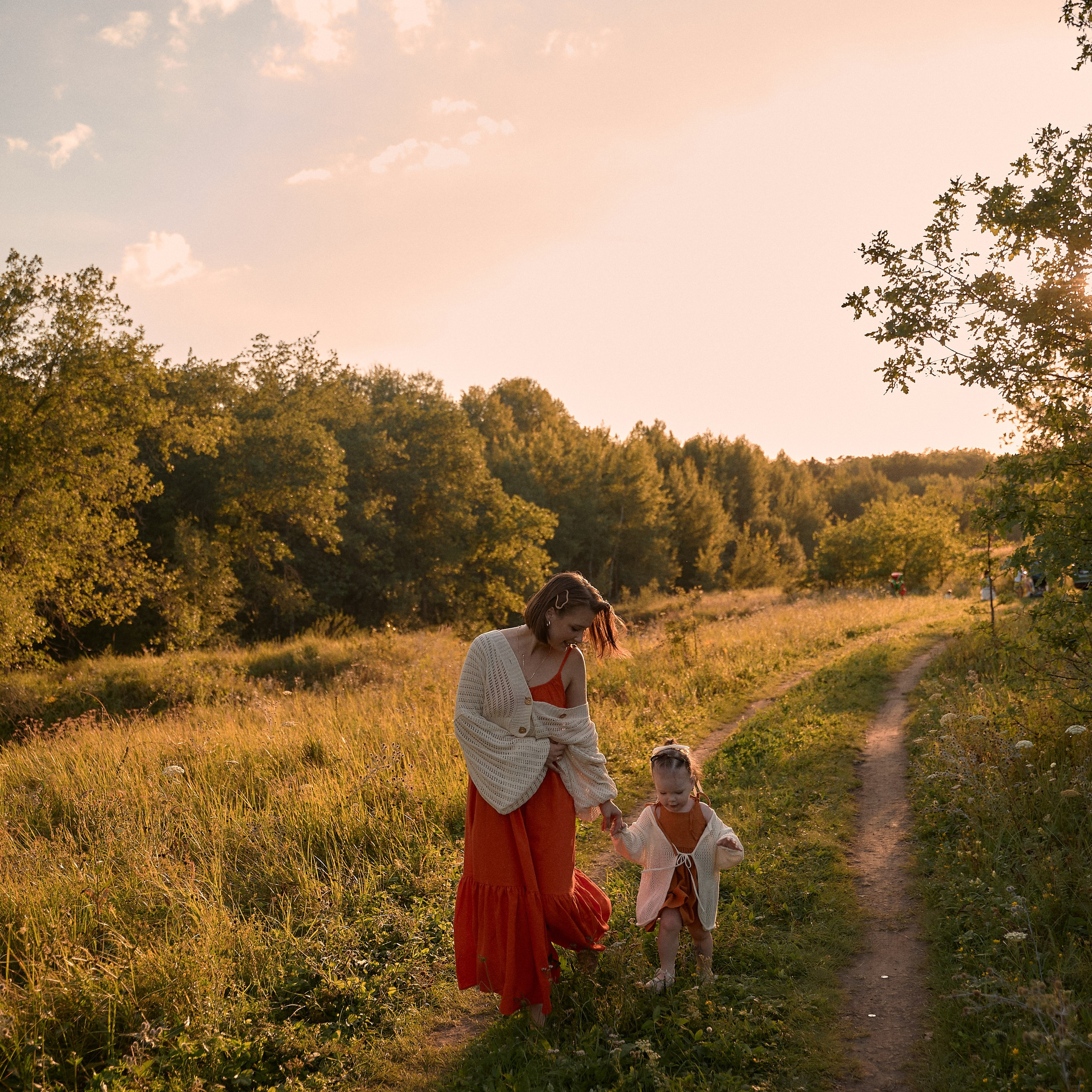 Ромашковая история