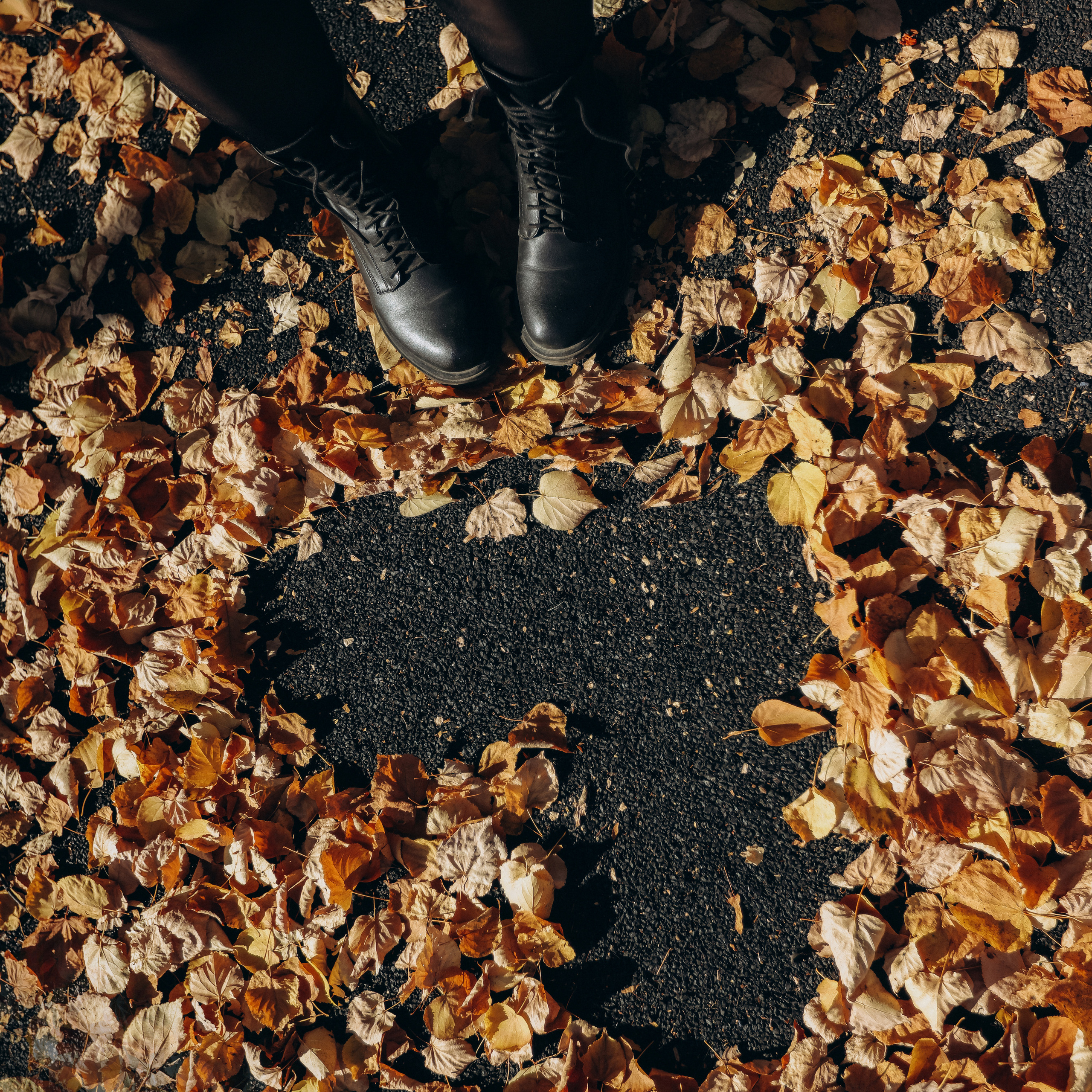 Отзывы. Мультифотограф Динара Ахмедзянова