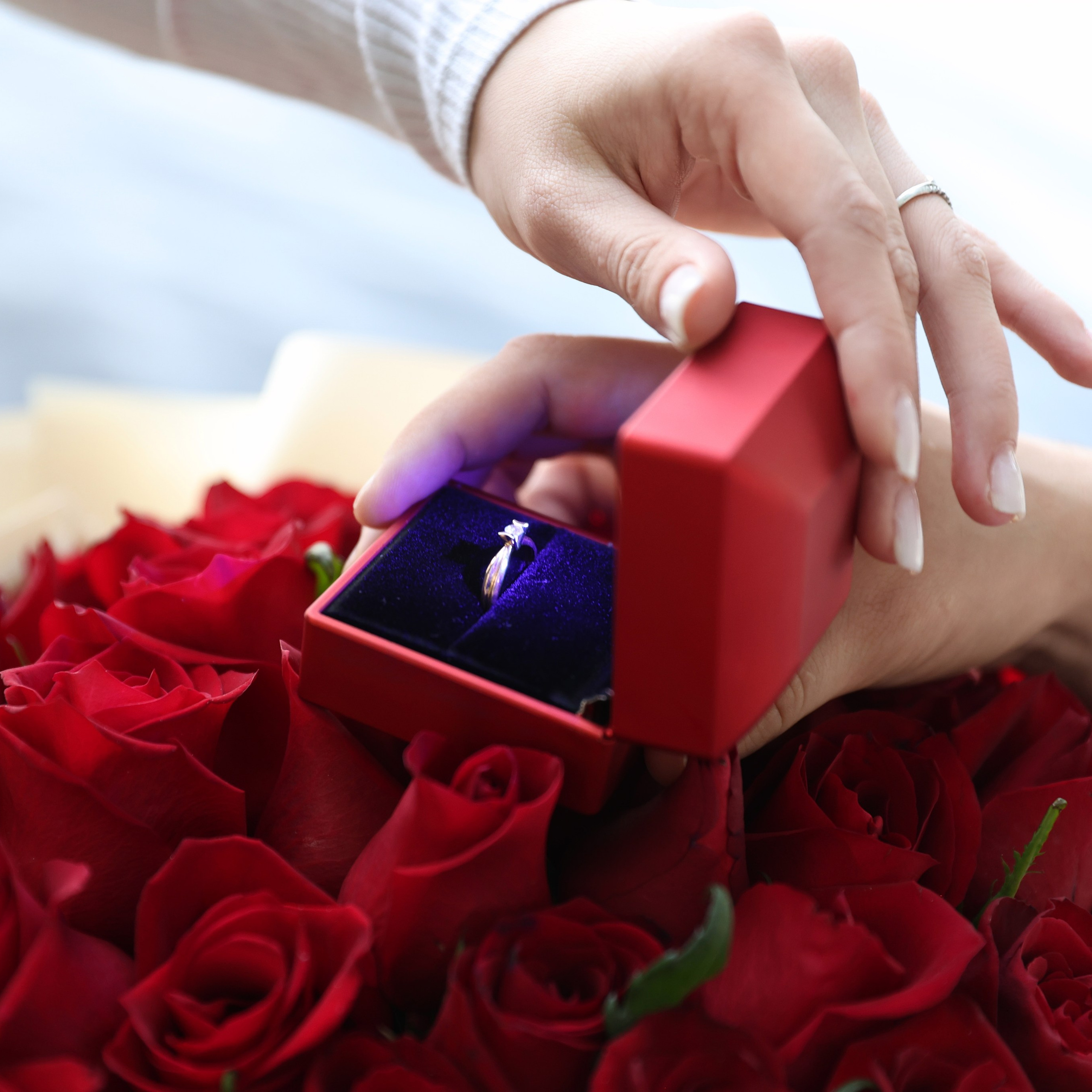 Предложение. Парк Щербакова