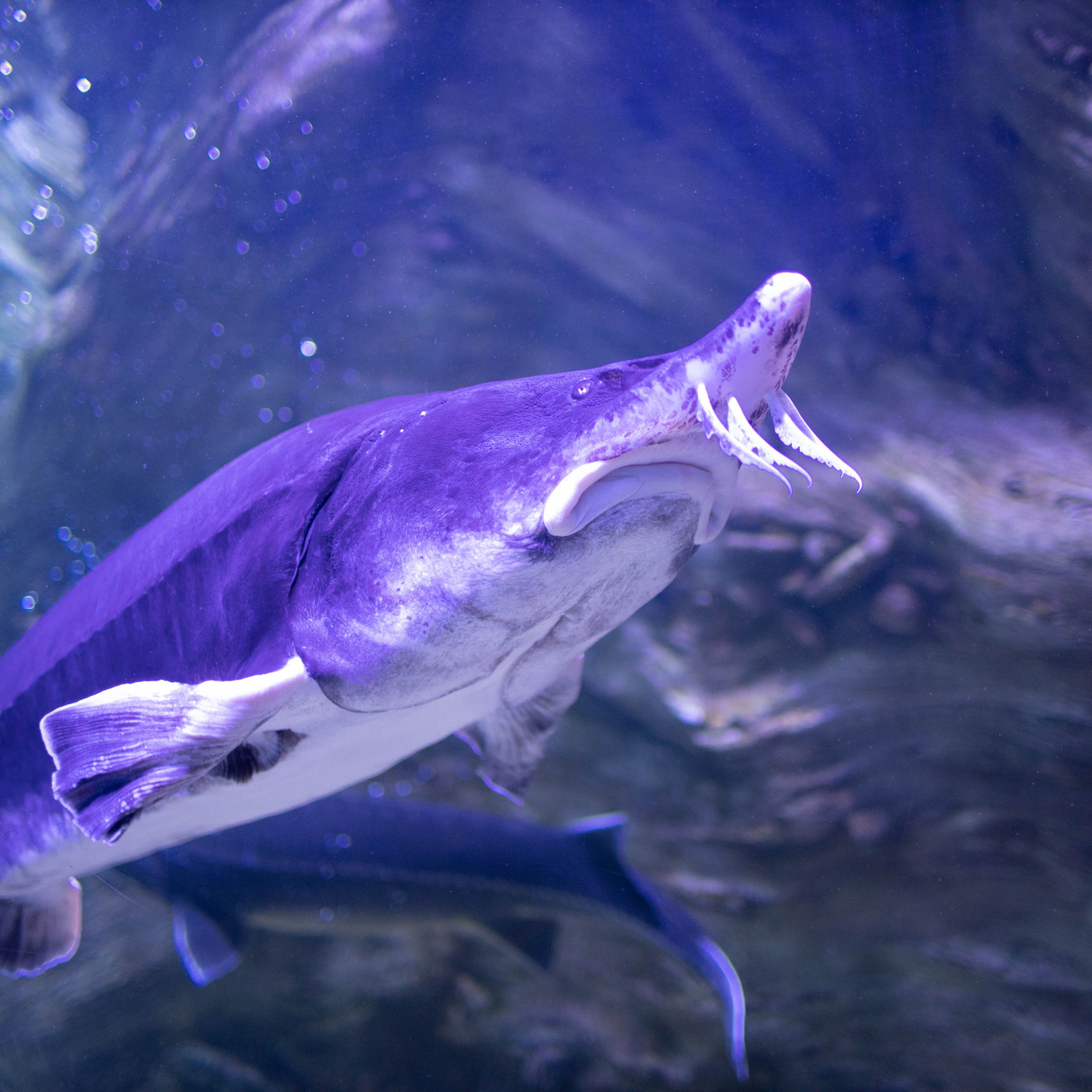 Отзывы. Детский и семейный фотограф в Твери Ольга Крестьянинова