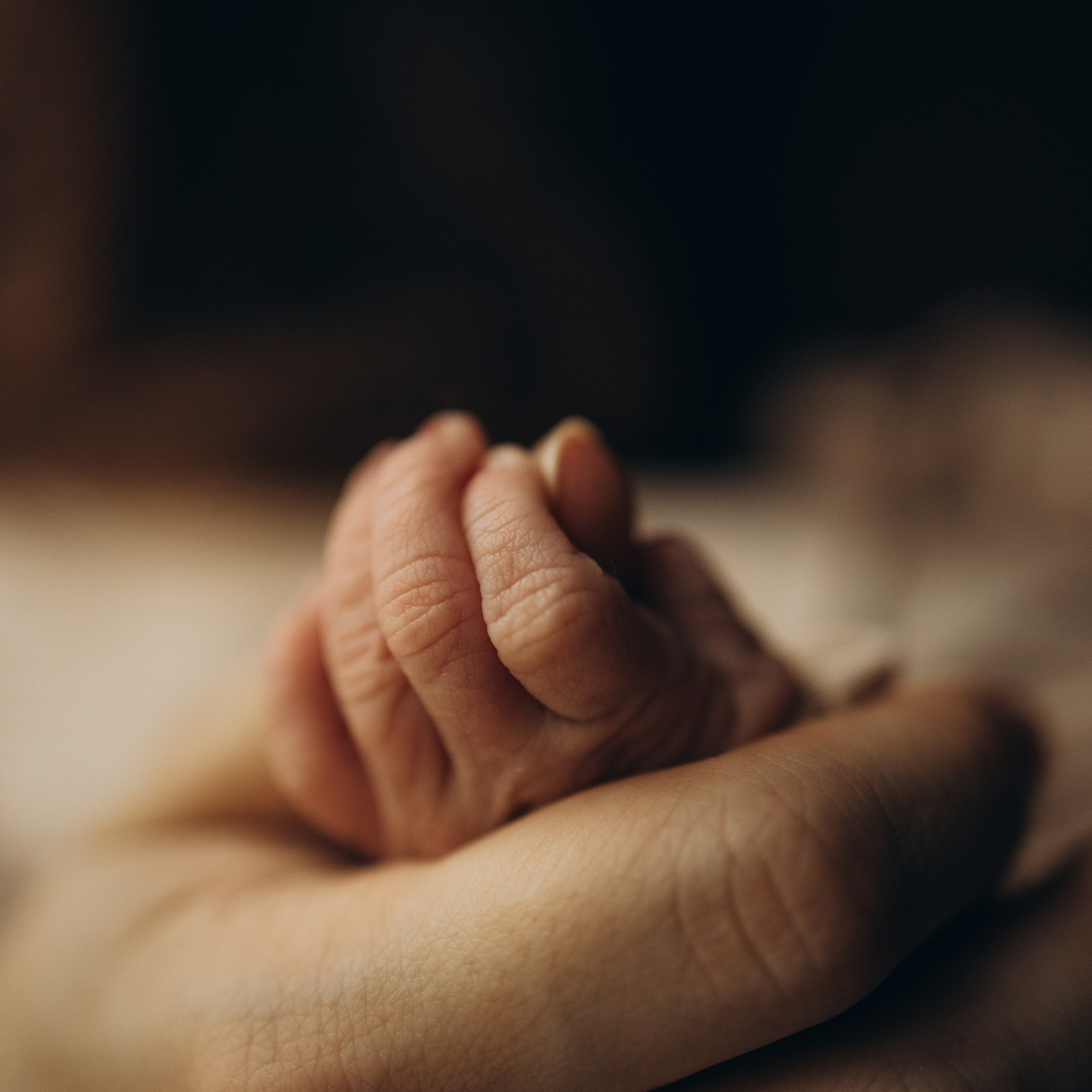 Аня, Игорь и Варя