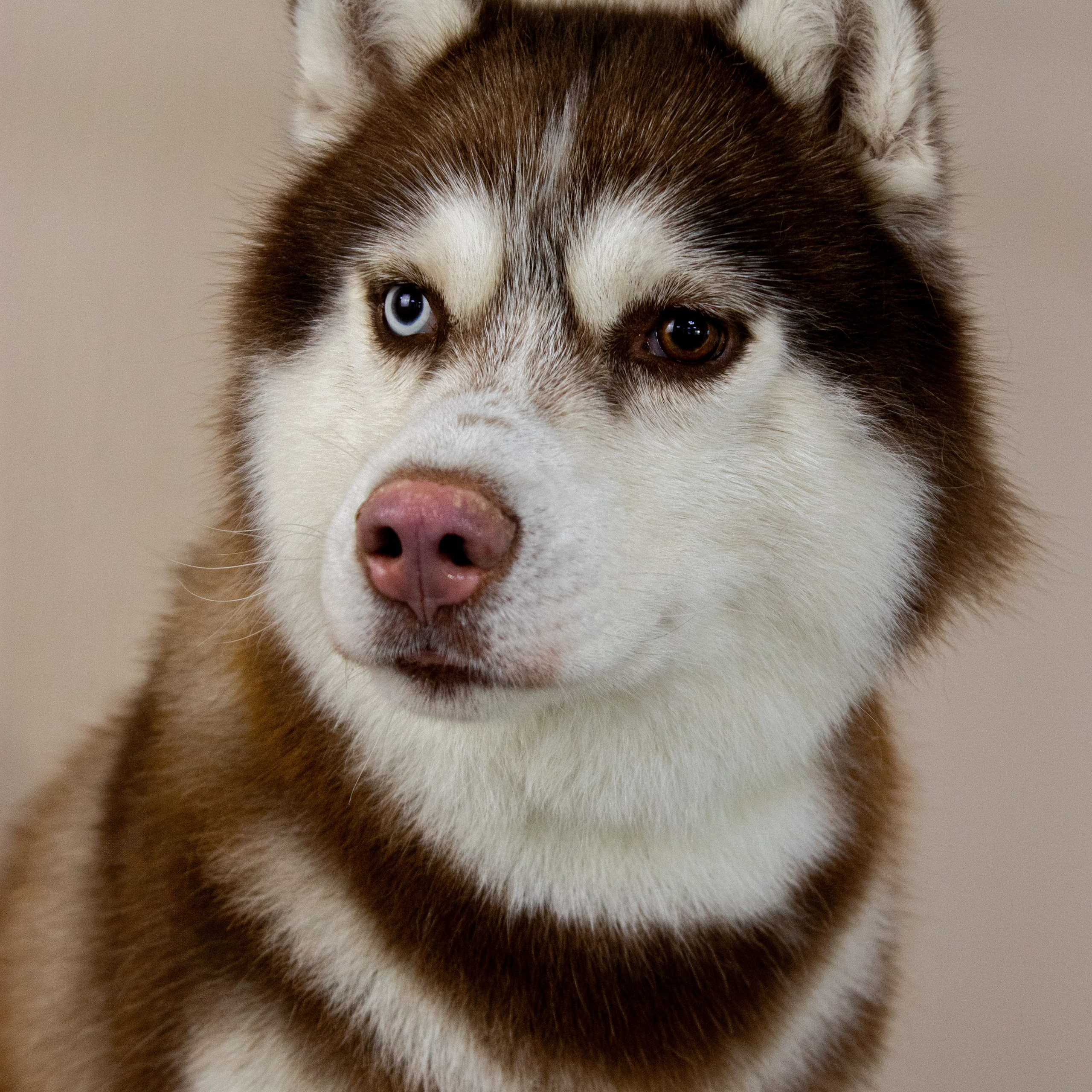 Отзывы. Фотограф в Нижнем Новгороде Екатерина Хисматулина