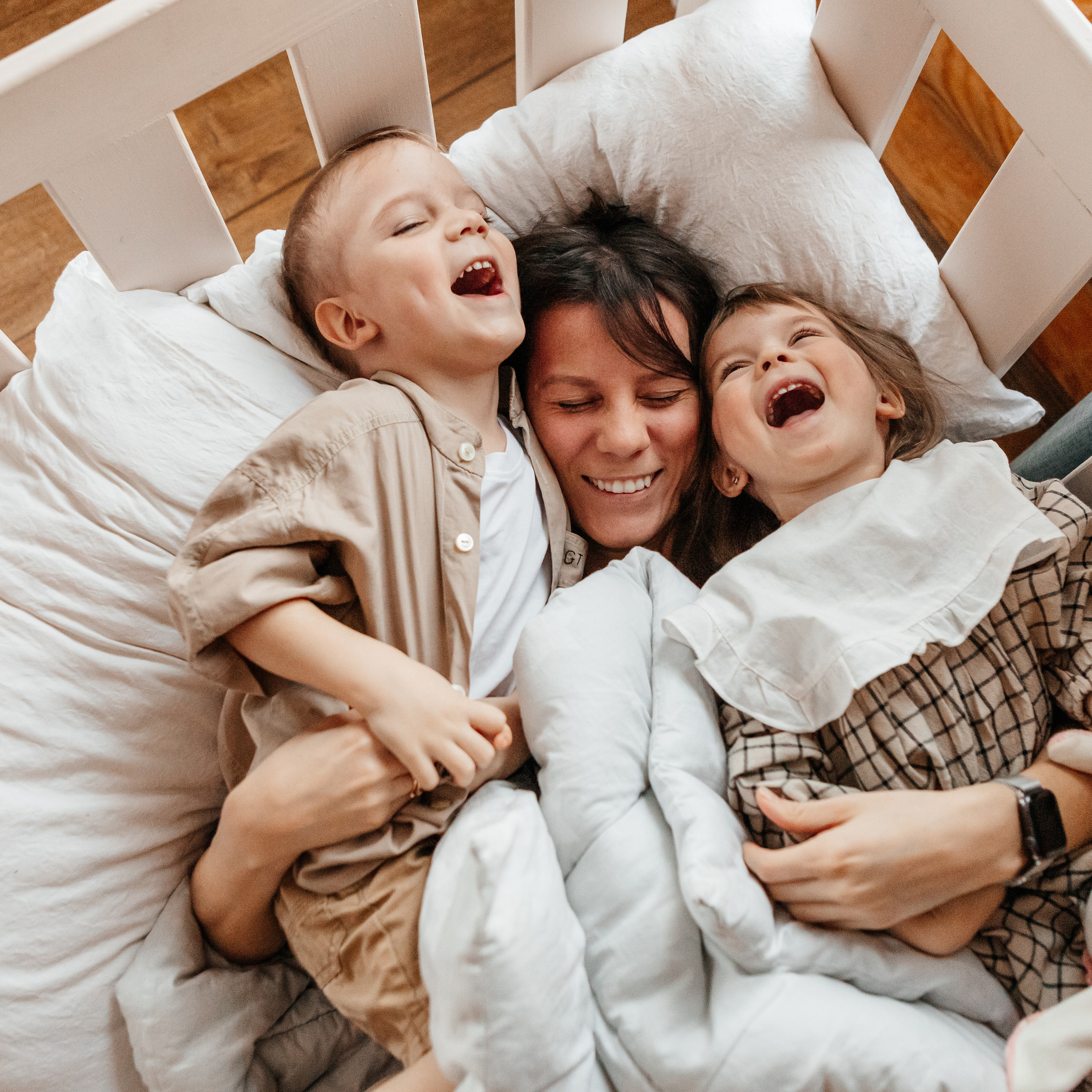 Домашние радости