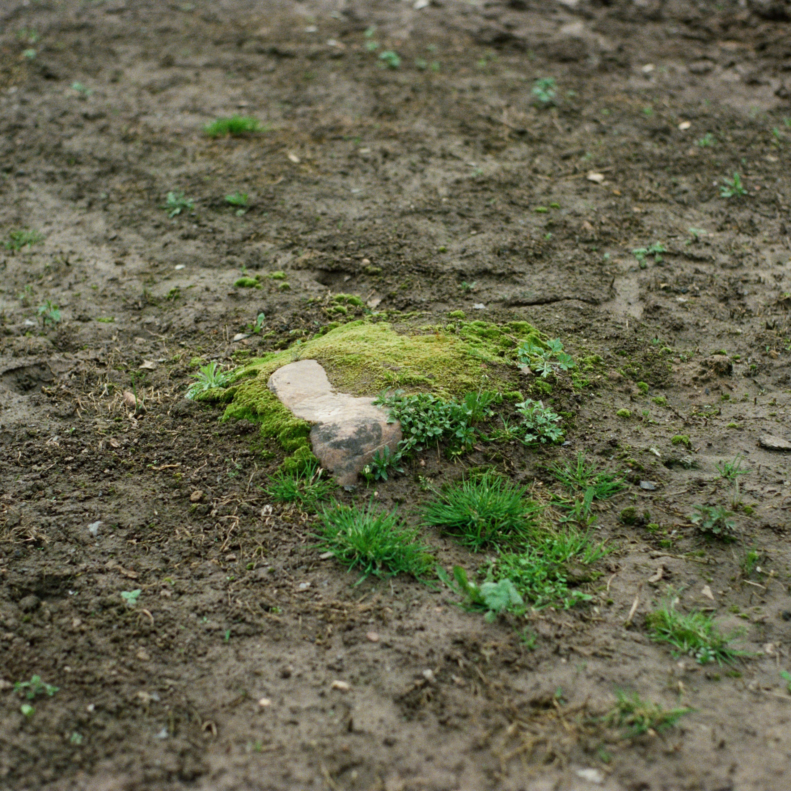 Aksenovo. Photographer Dima Sharov | Фотограф Дима Шаров