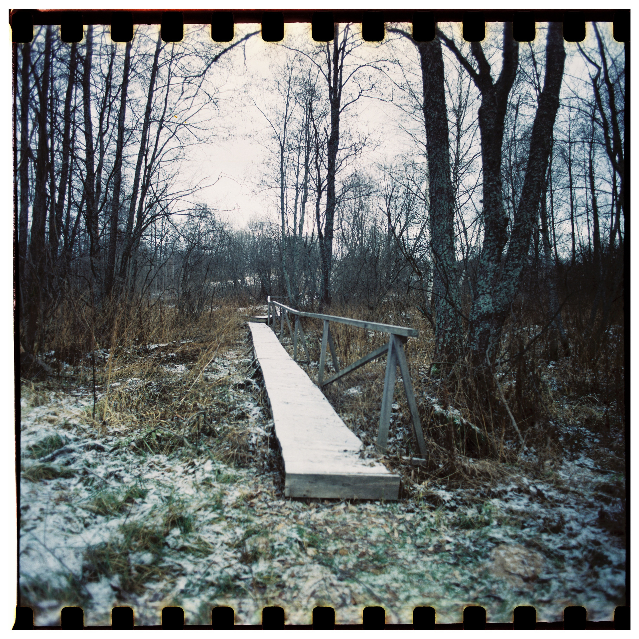 Aksenovo. Photographer Dima Sharov | Фотограф Дима Шаров