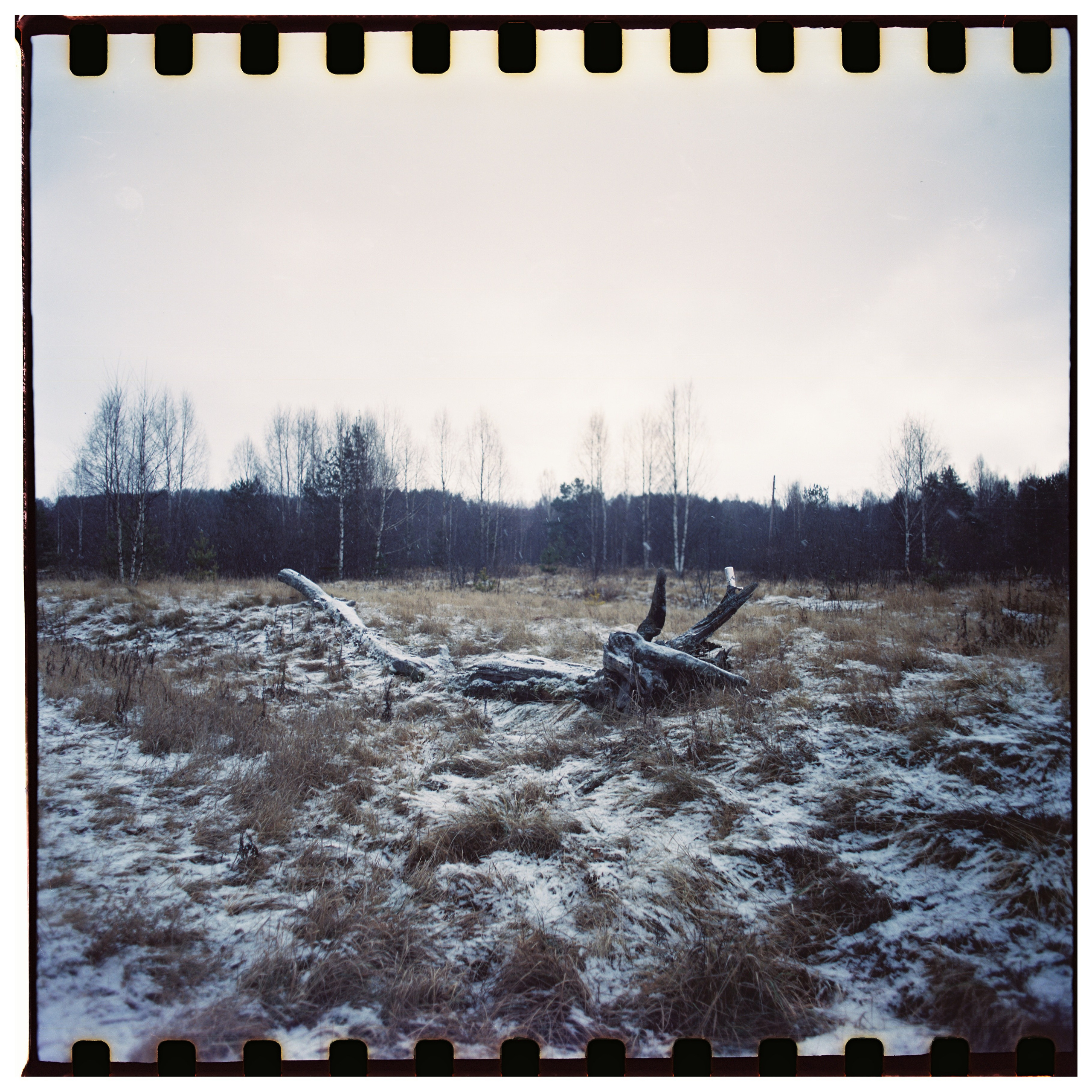 Aksenovo. Photographer Dima Sharov | Фотограф Дима Шаров