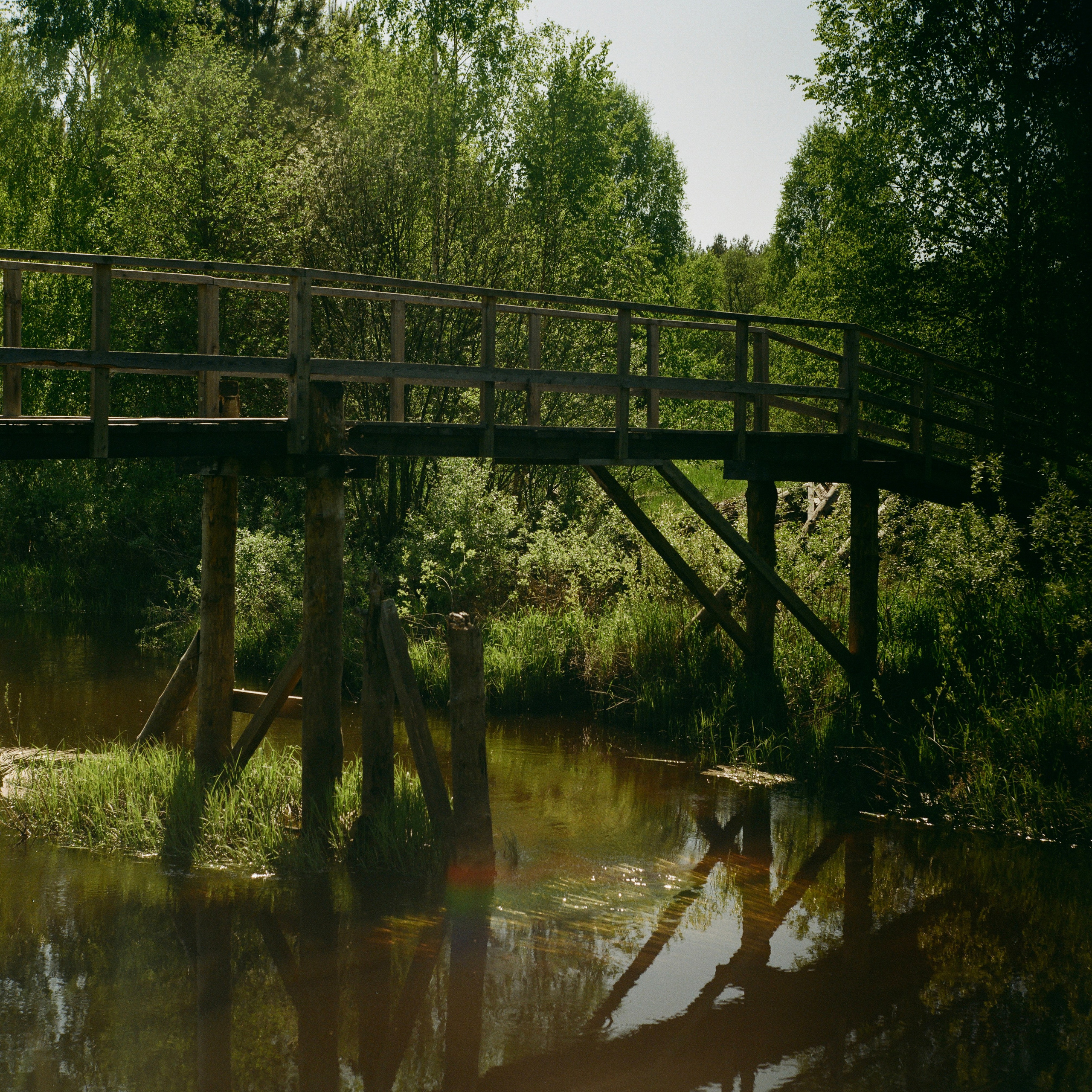 Aksenovo. Photographer Dima Sharov | Фотограф Дима Шаров