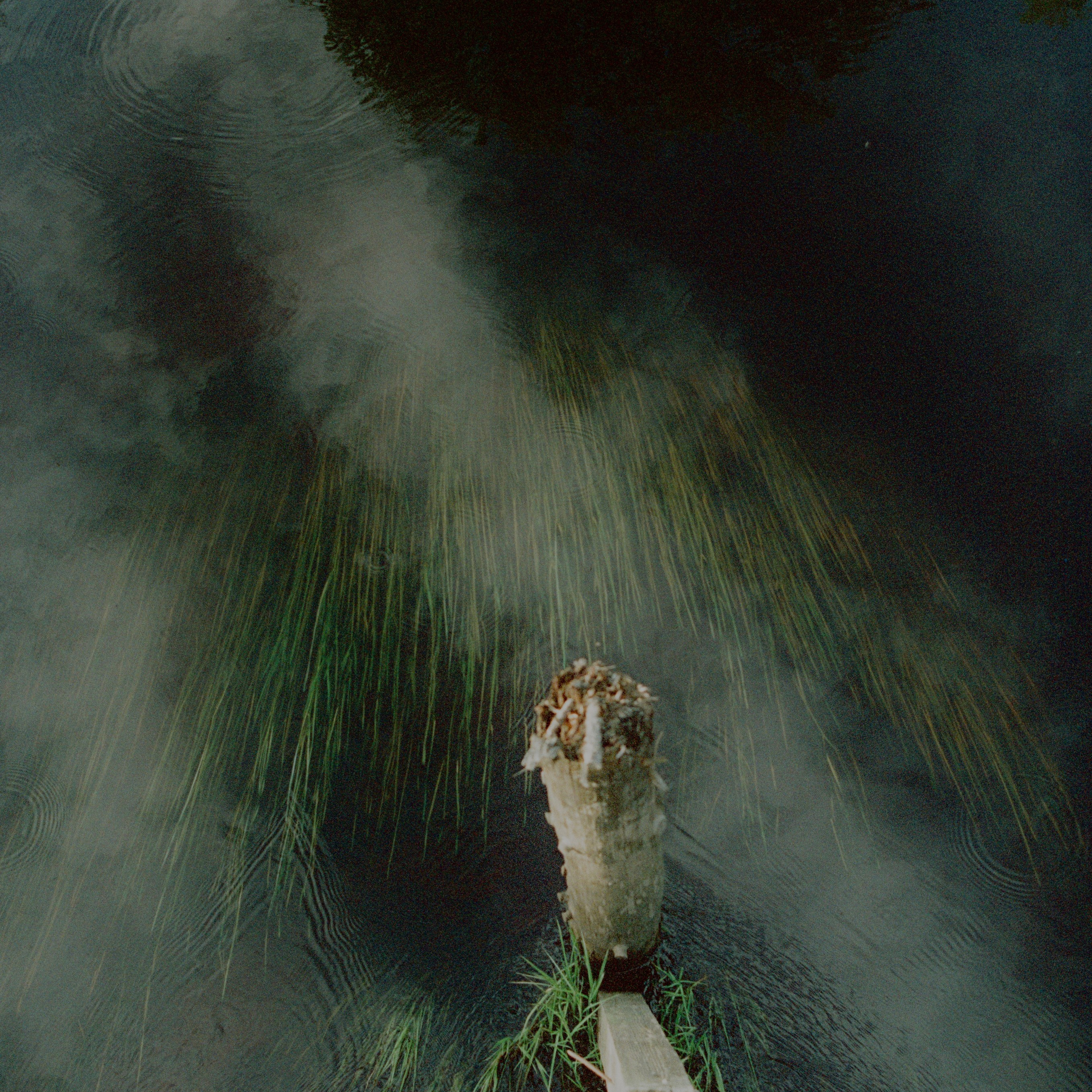 Aksenovo. Photographer Dima Sharov | Фотограф Дима Шаров