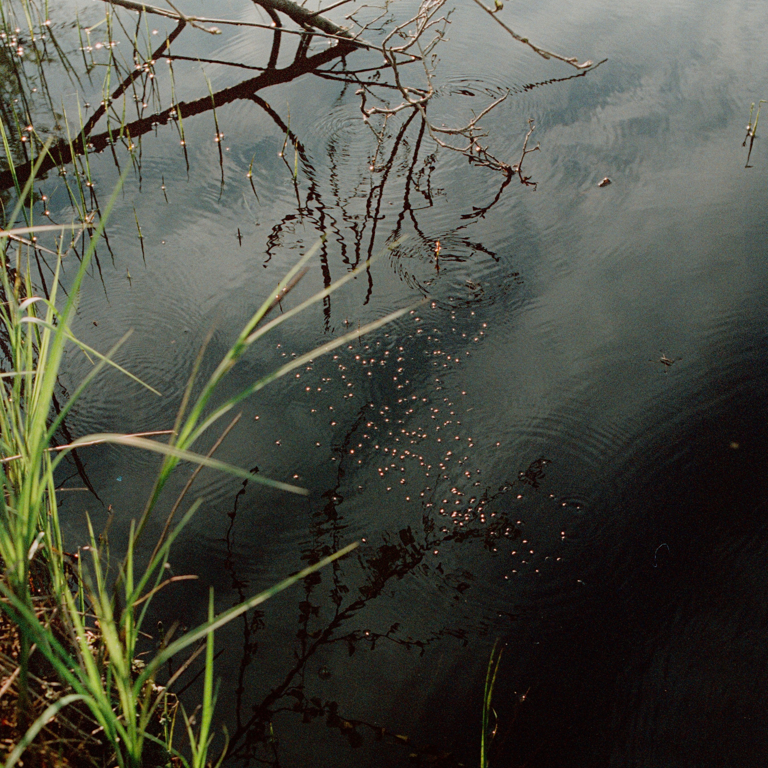 Aksenovo. Photographer Dima Sharov | Фотограф Дима Шаров