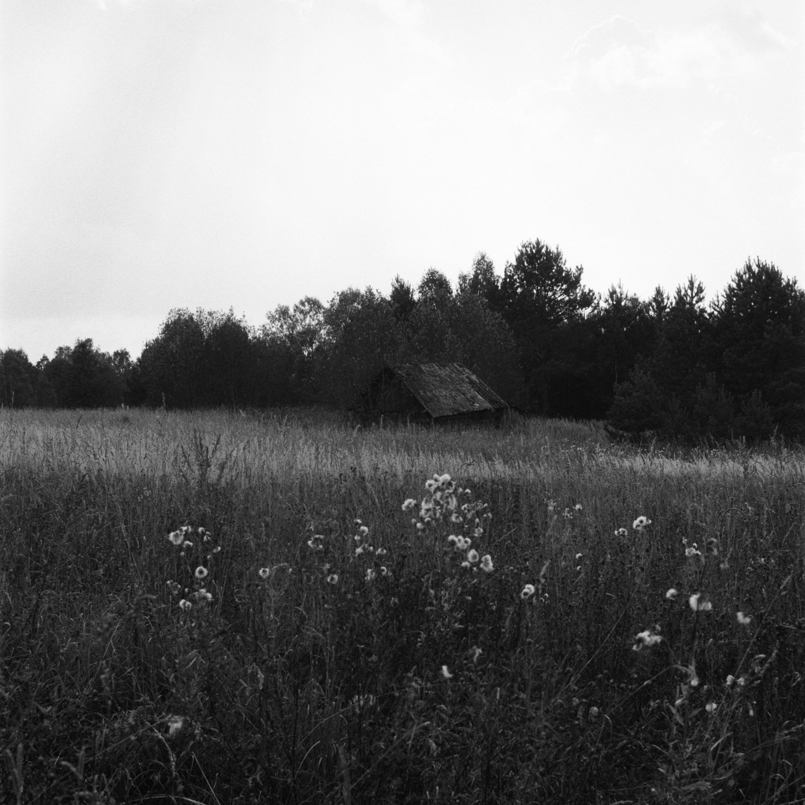 Aksenovo. Photographer Dima Sharov | Фотограф Дима Шаров