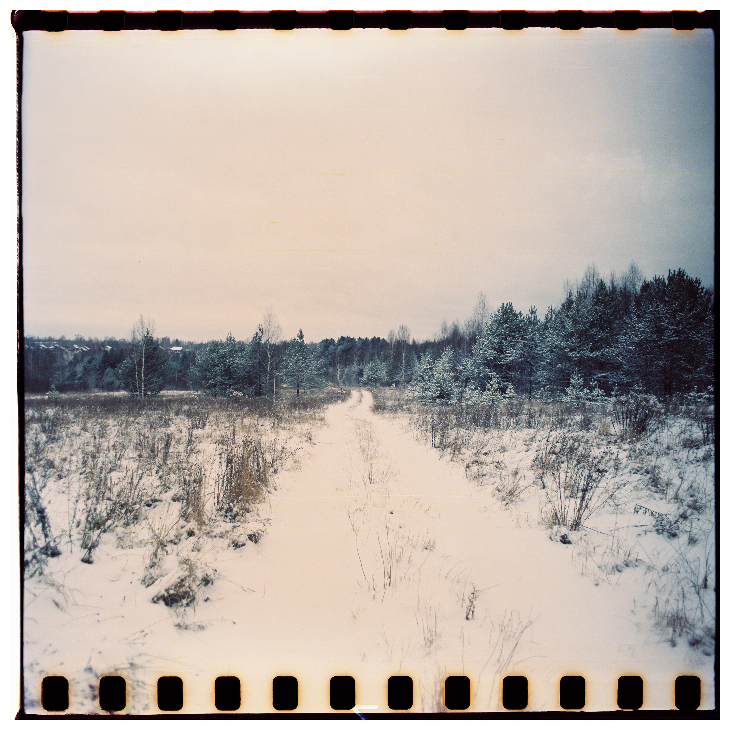 Aksenovo. Photographer Dima Sharov | Фотограф Дима Шаров