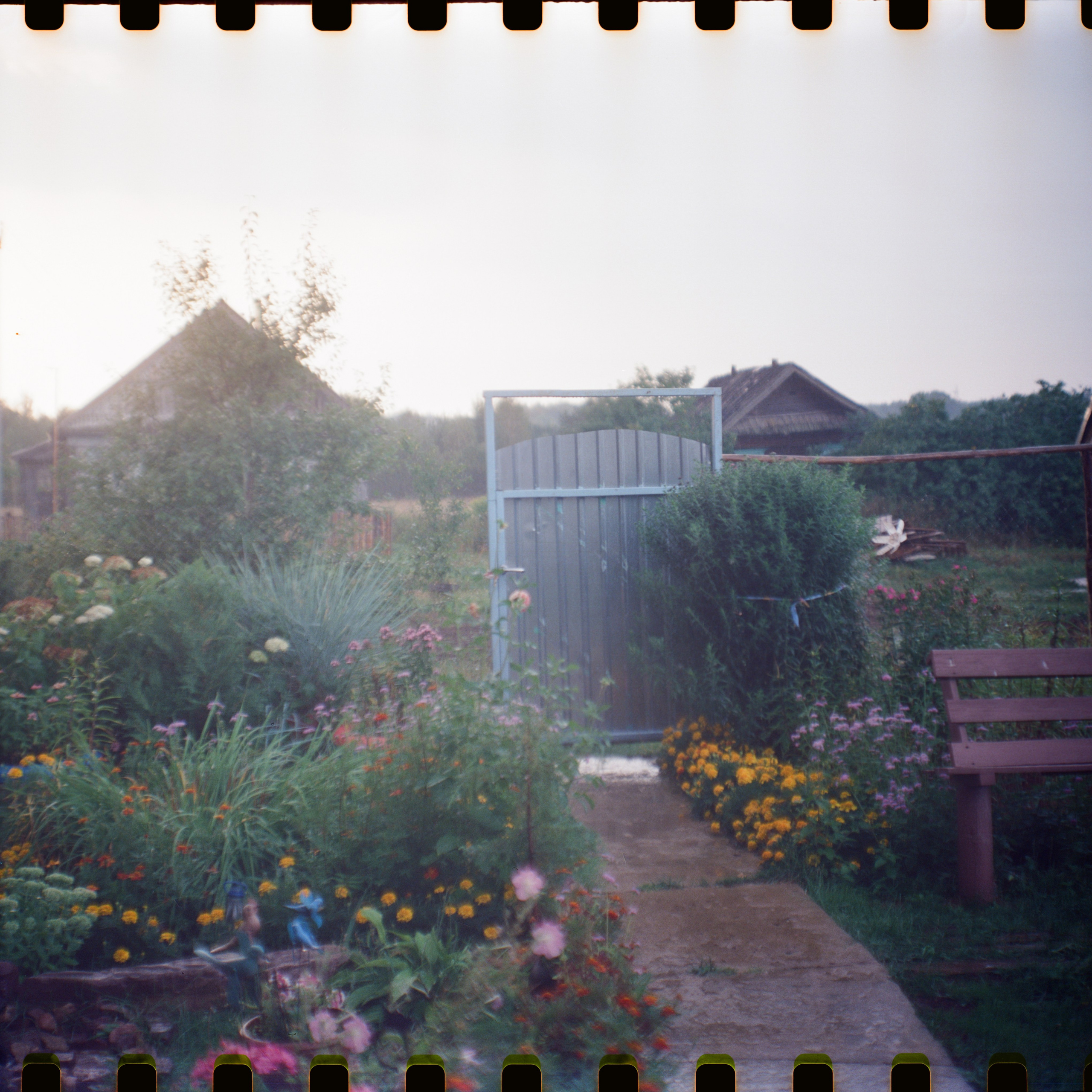 Aksenovo. Photographer Dima Sharov | Фотограф Дима Шаров