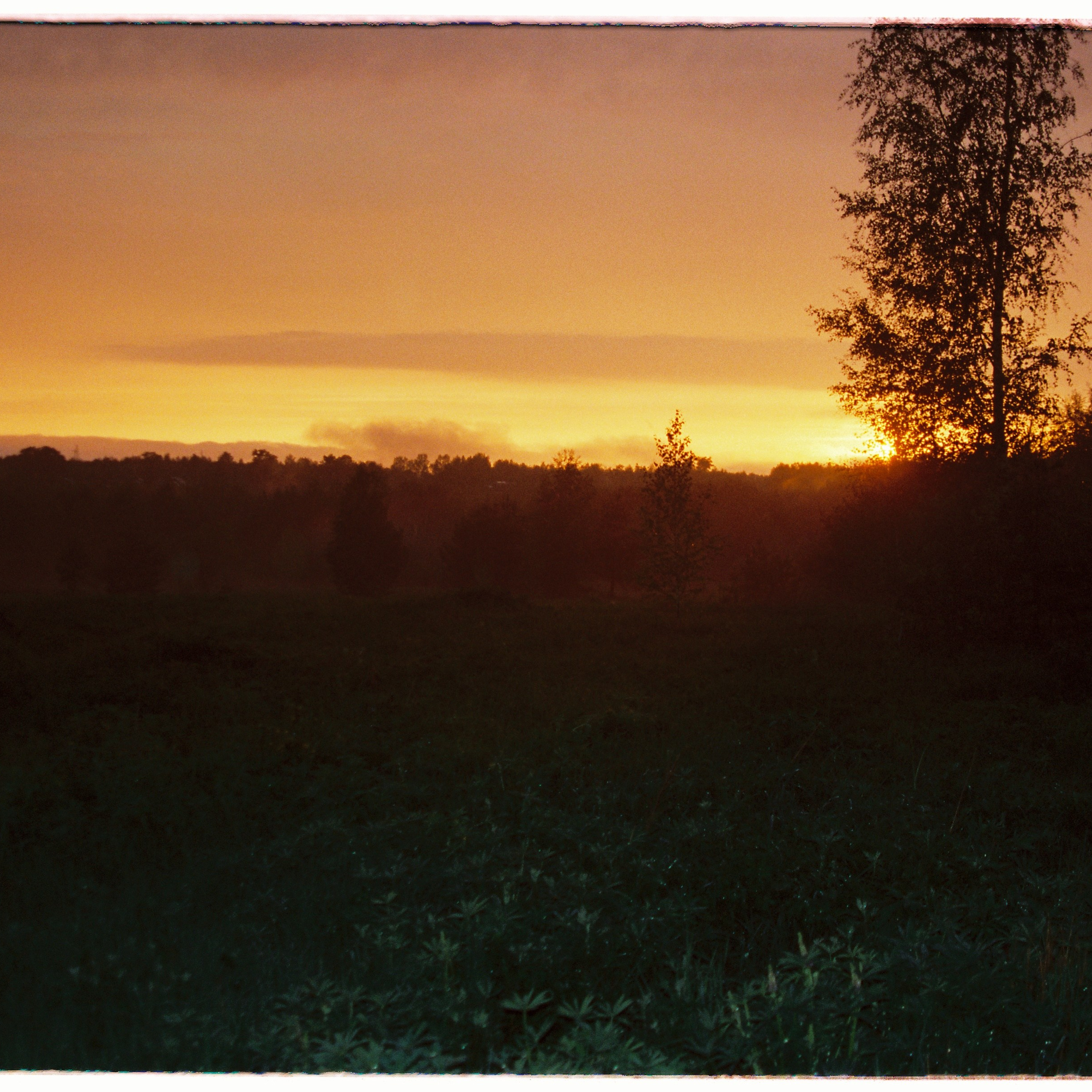 Aksenovo. Photographer Dima Sharov | Фотограф Дима Шаров