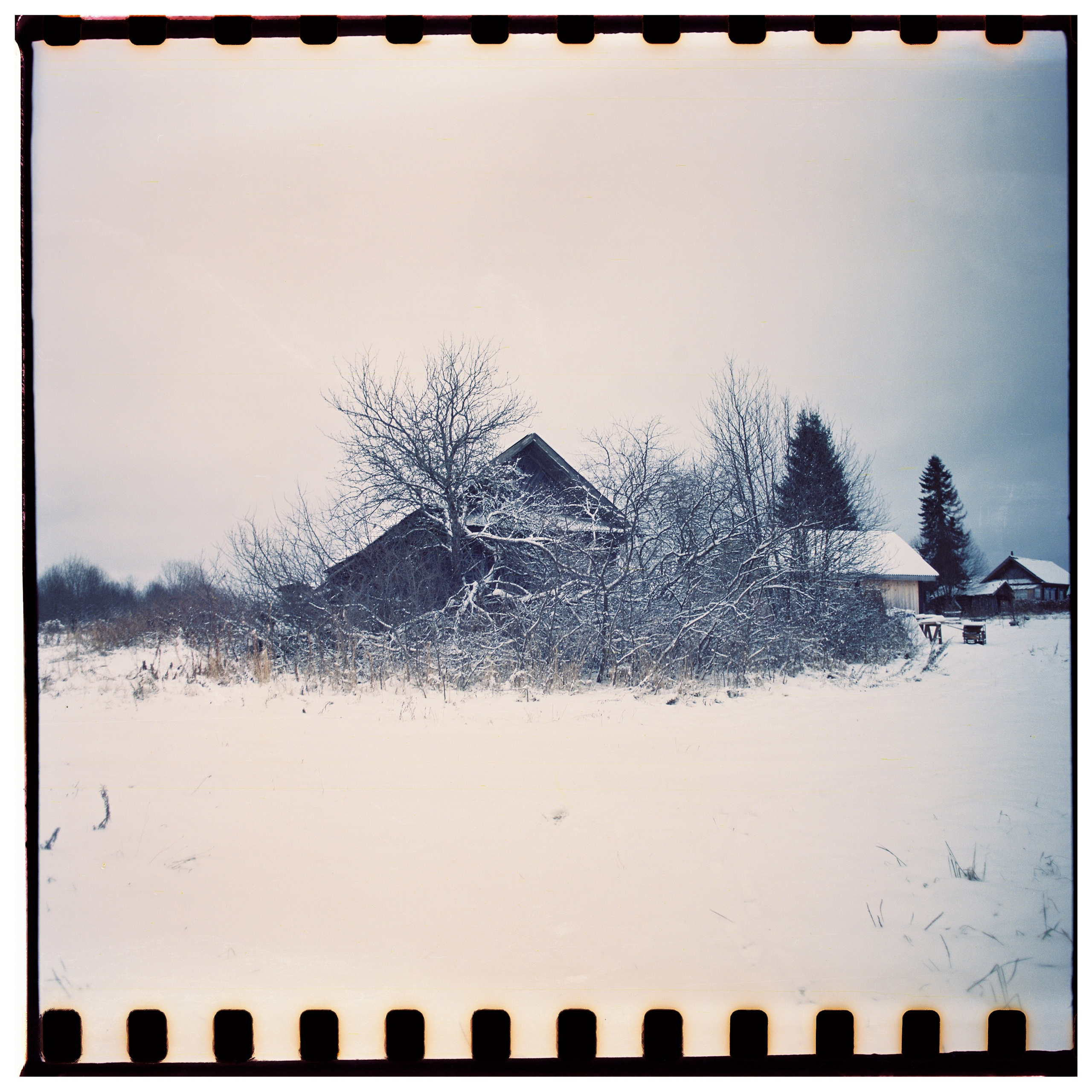 Aksenovo. Photographer Dima Sharov | Фотограф Дима Шаров