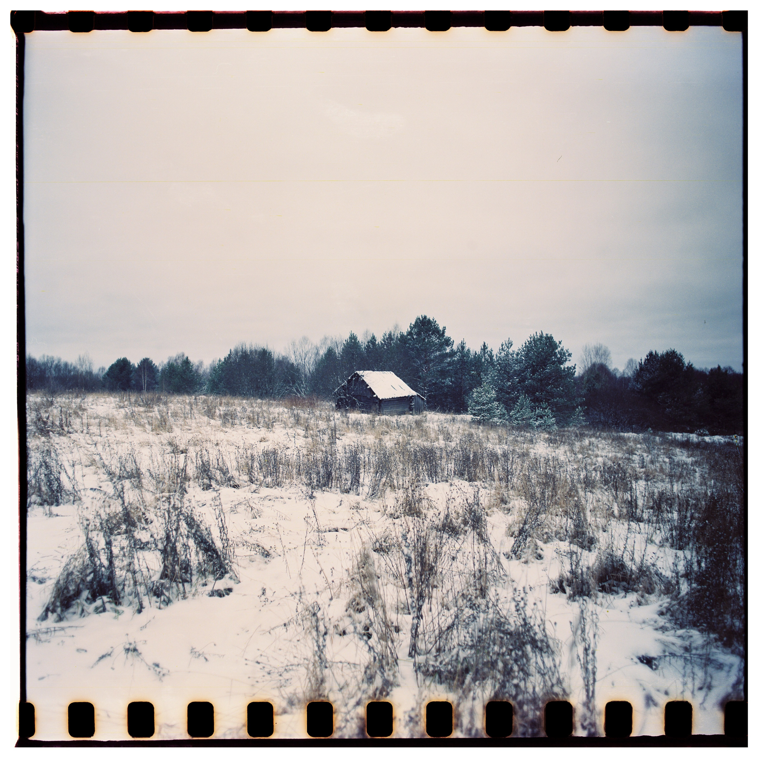 Aksenovo. Photographer Dima Sharov | Фотограф Дима Шаров