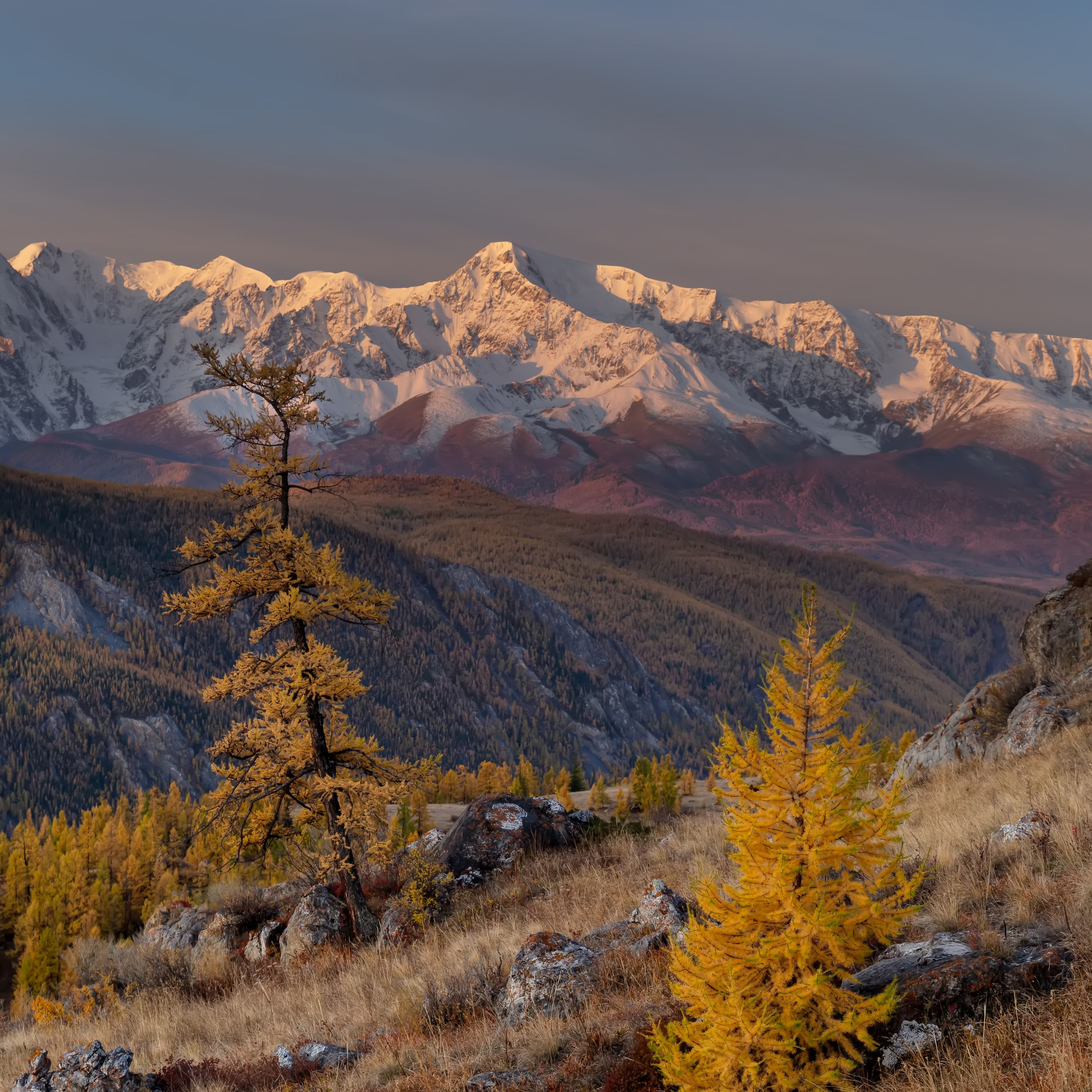 Пейзаж. Пейзажный фотограф и фотограф-анималист