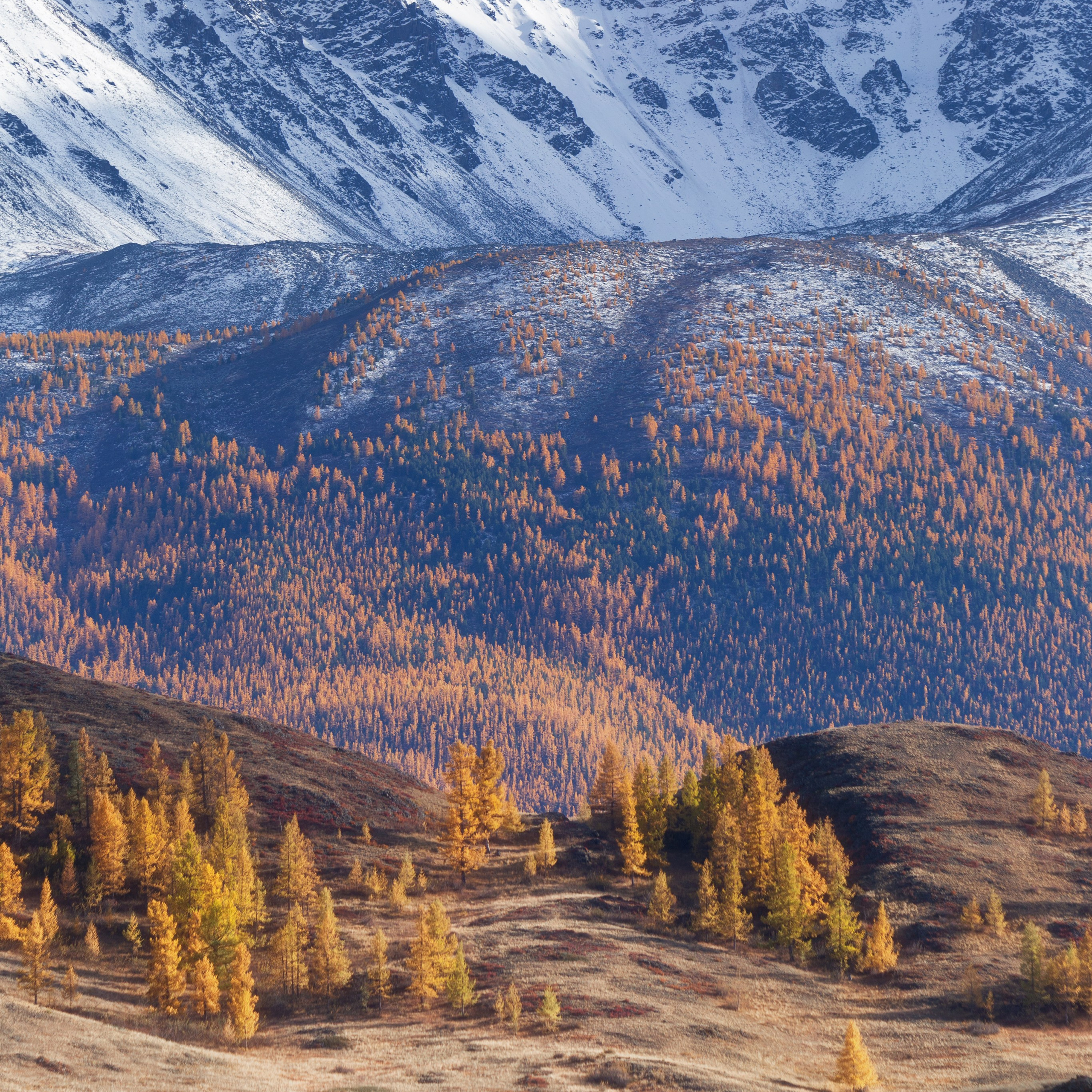 Пейзаж. Пейзажный фотограф и фотограф-анималист