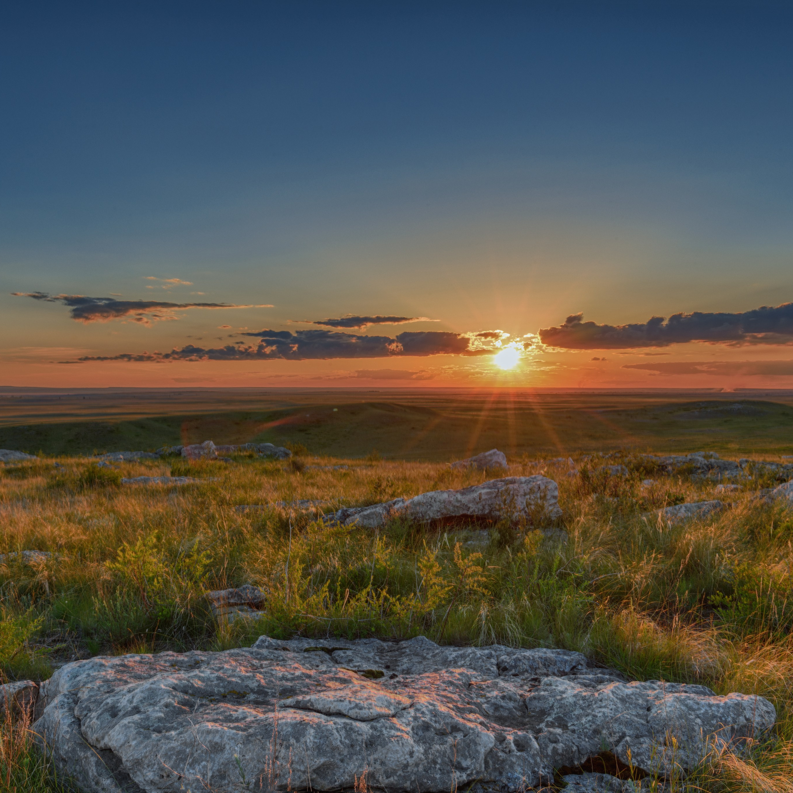 Оренбургский заповедник. Участок "Предуральская степь"