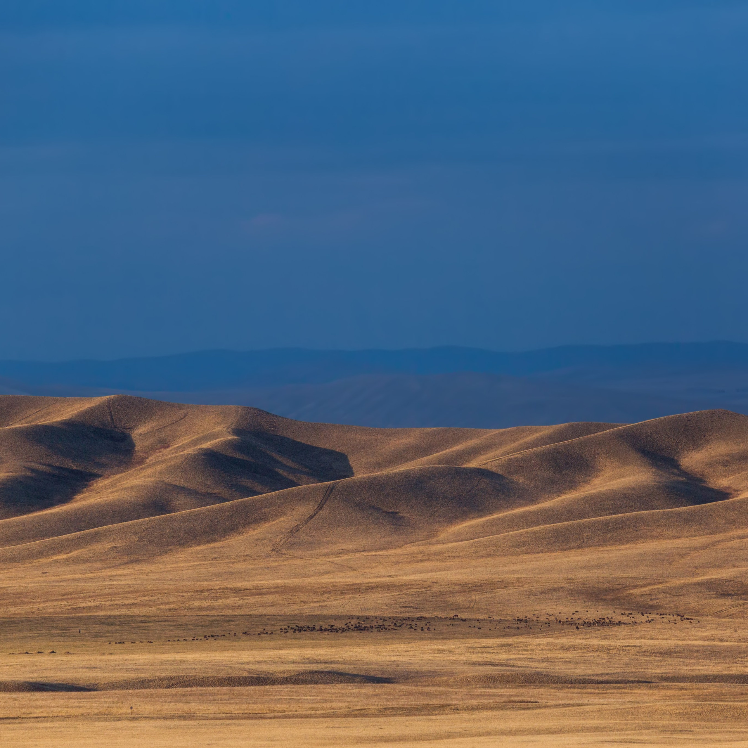 Оренбургский заповедник. Участок "Буртинская степь"