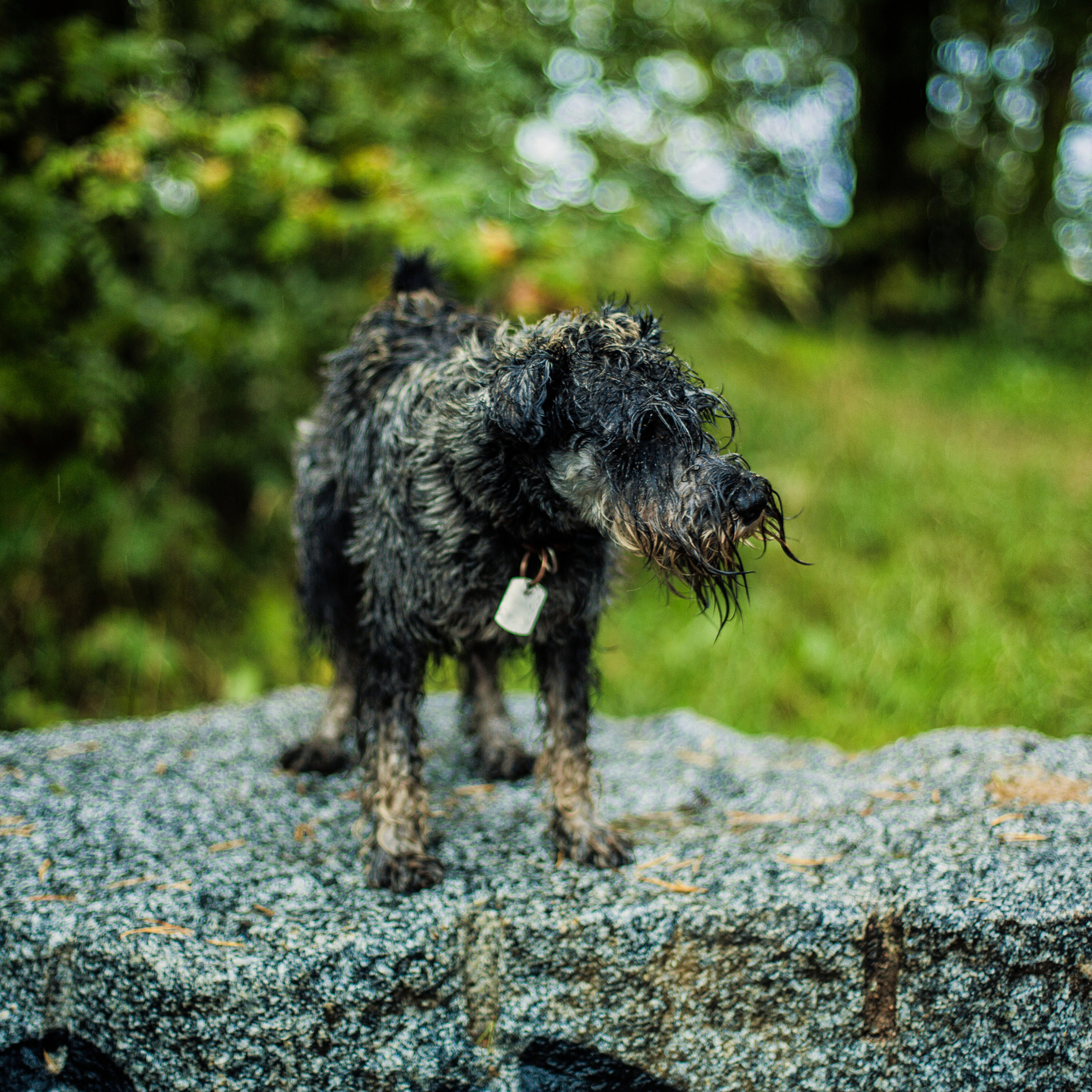 Кайялайнен. Детский, свадебный и семейный фотограф Юлия Курбатова, Санкт-Петербург