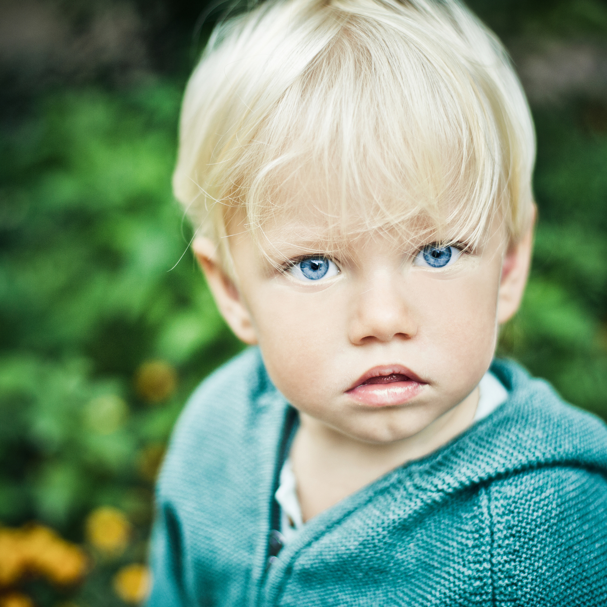 Тео и другие). Детский, свадебный и семейный фотограф Юлия Курбатова, Санкт-Петербург