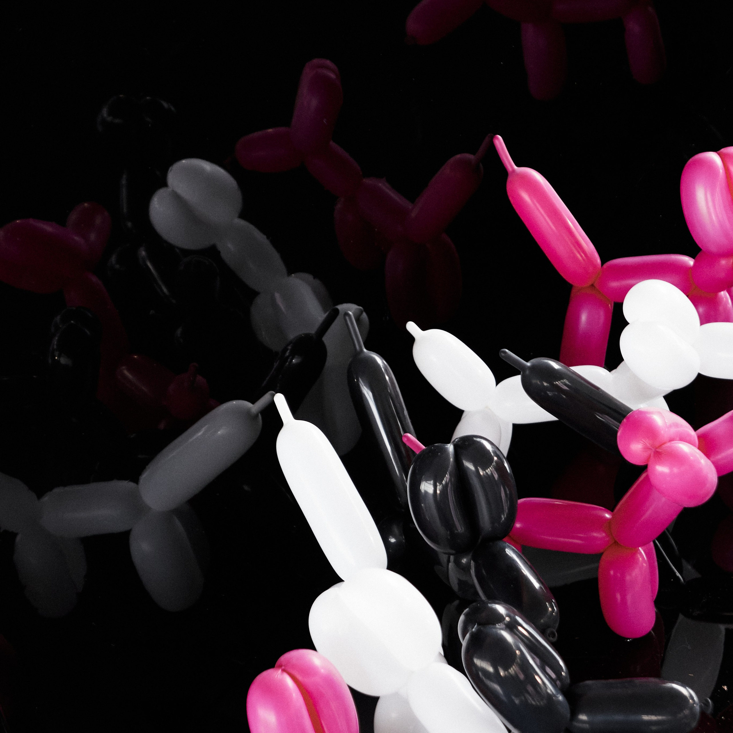 Александр и Ксения