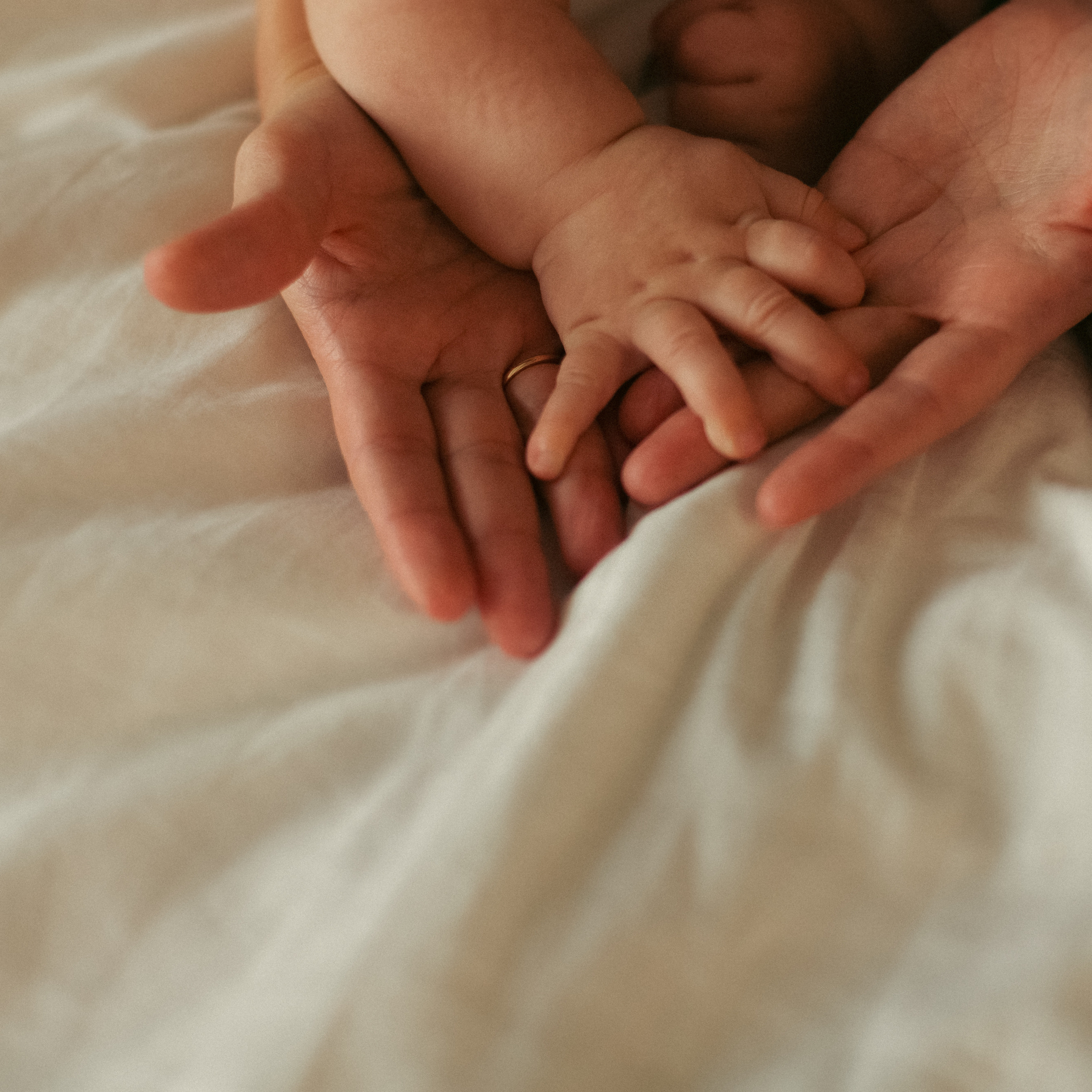 Новогоднее чудо