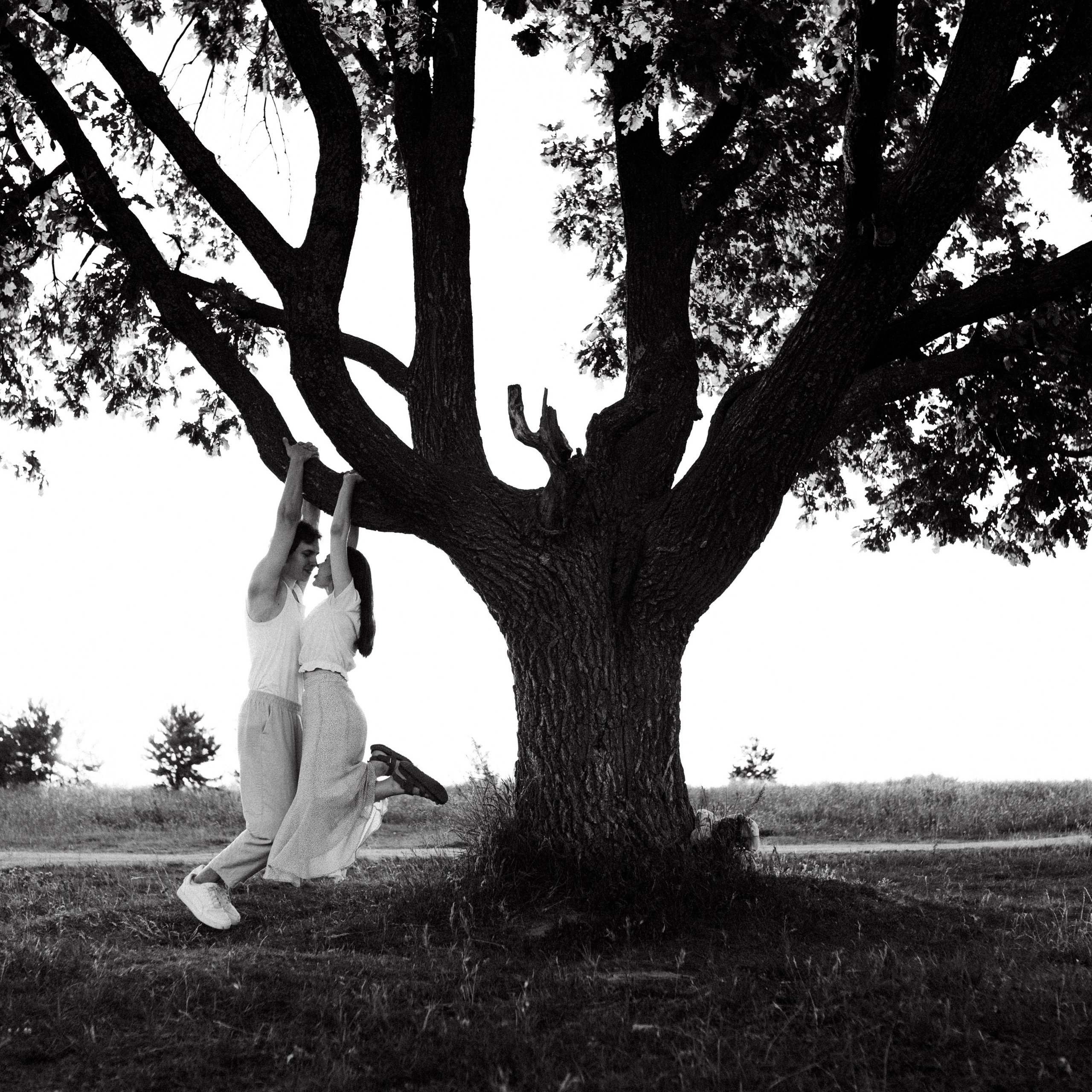 Поле клевера