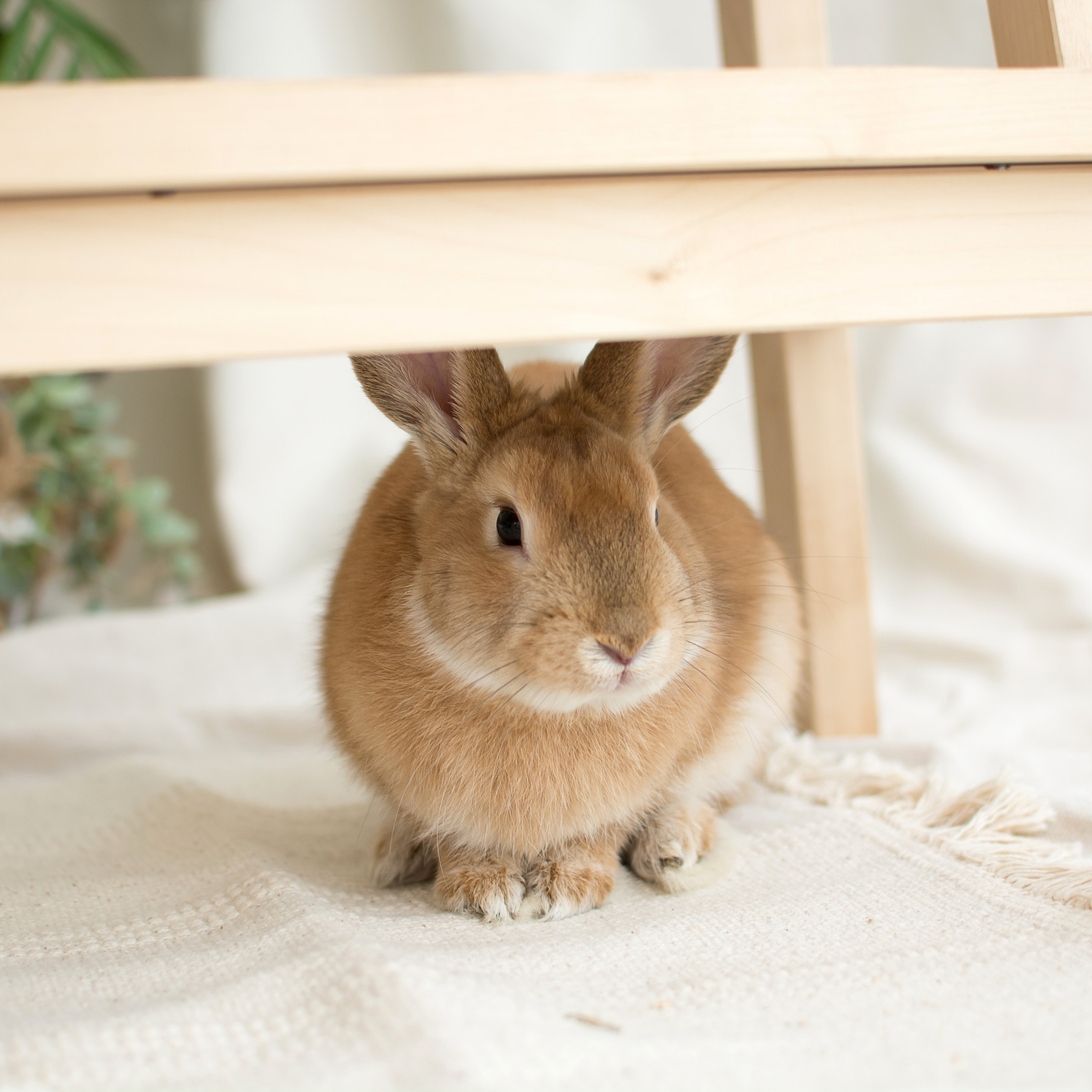 Семейный фотограф Казань. Семейный фотограф в Казани