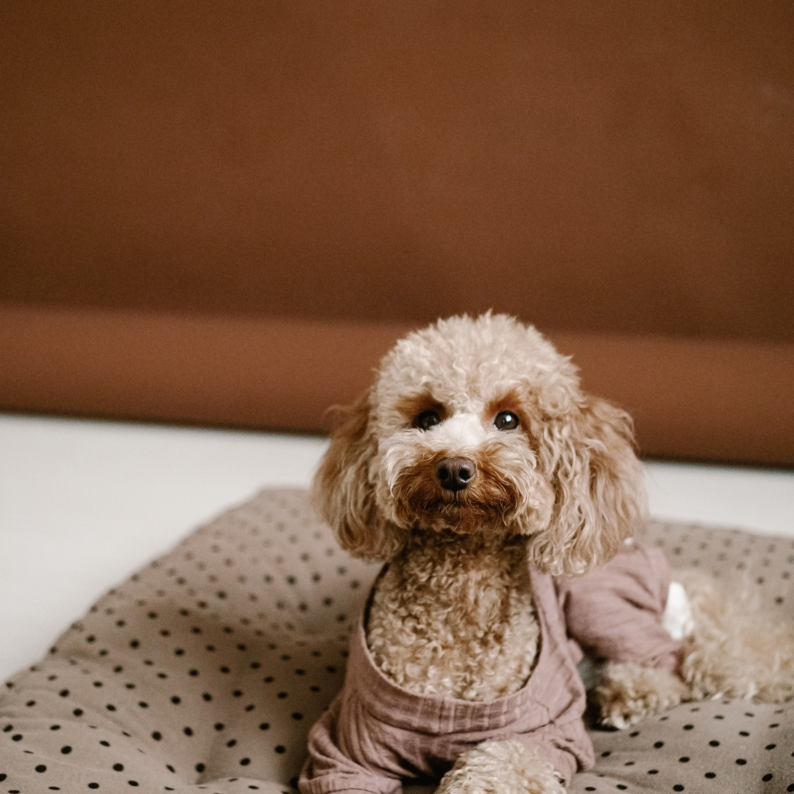 вся семья и самый главный