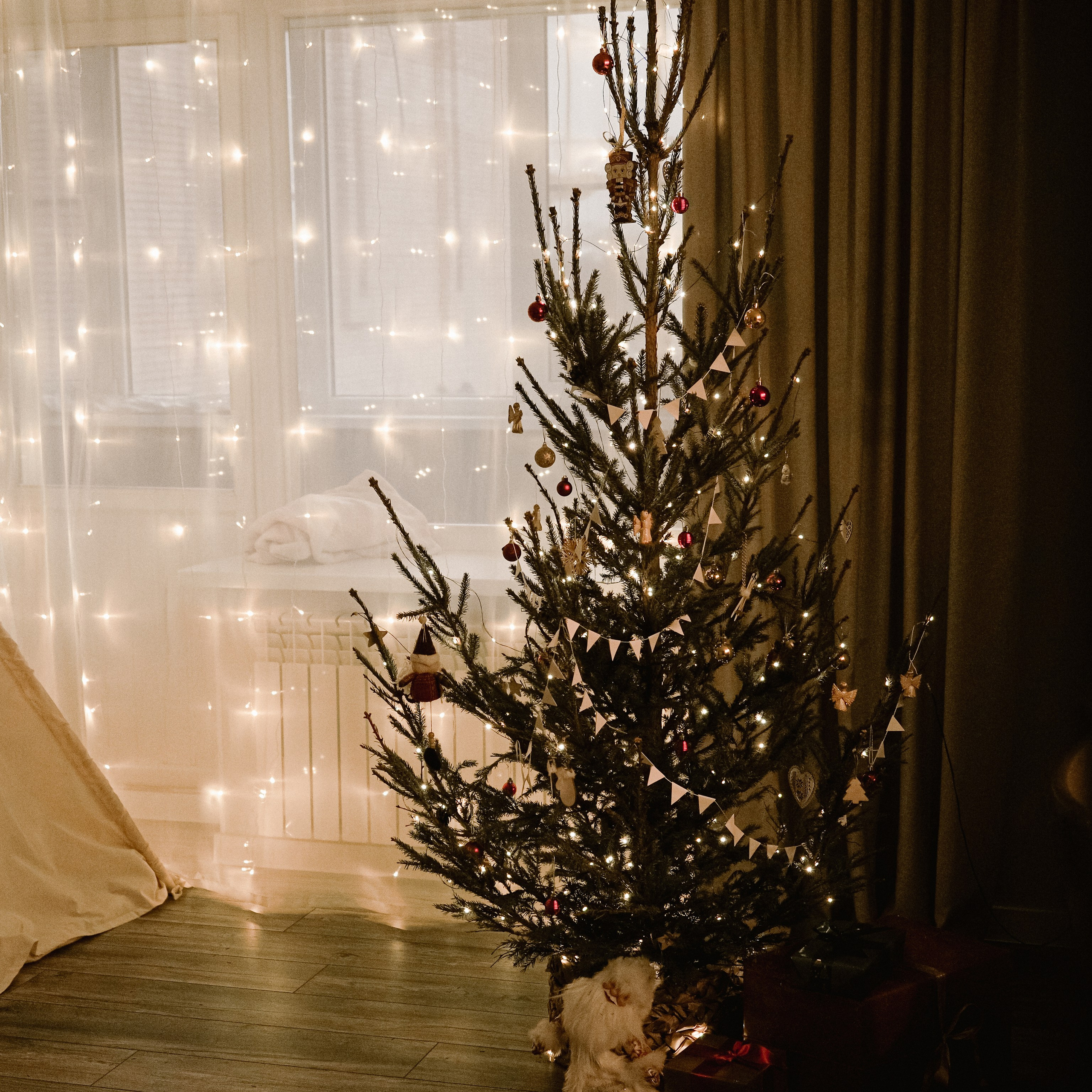 Отзывы. Фотограф Рязань. Семейный Свадебный фотограф