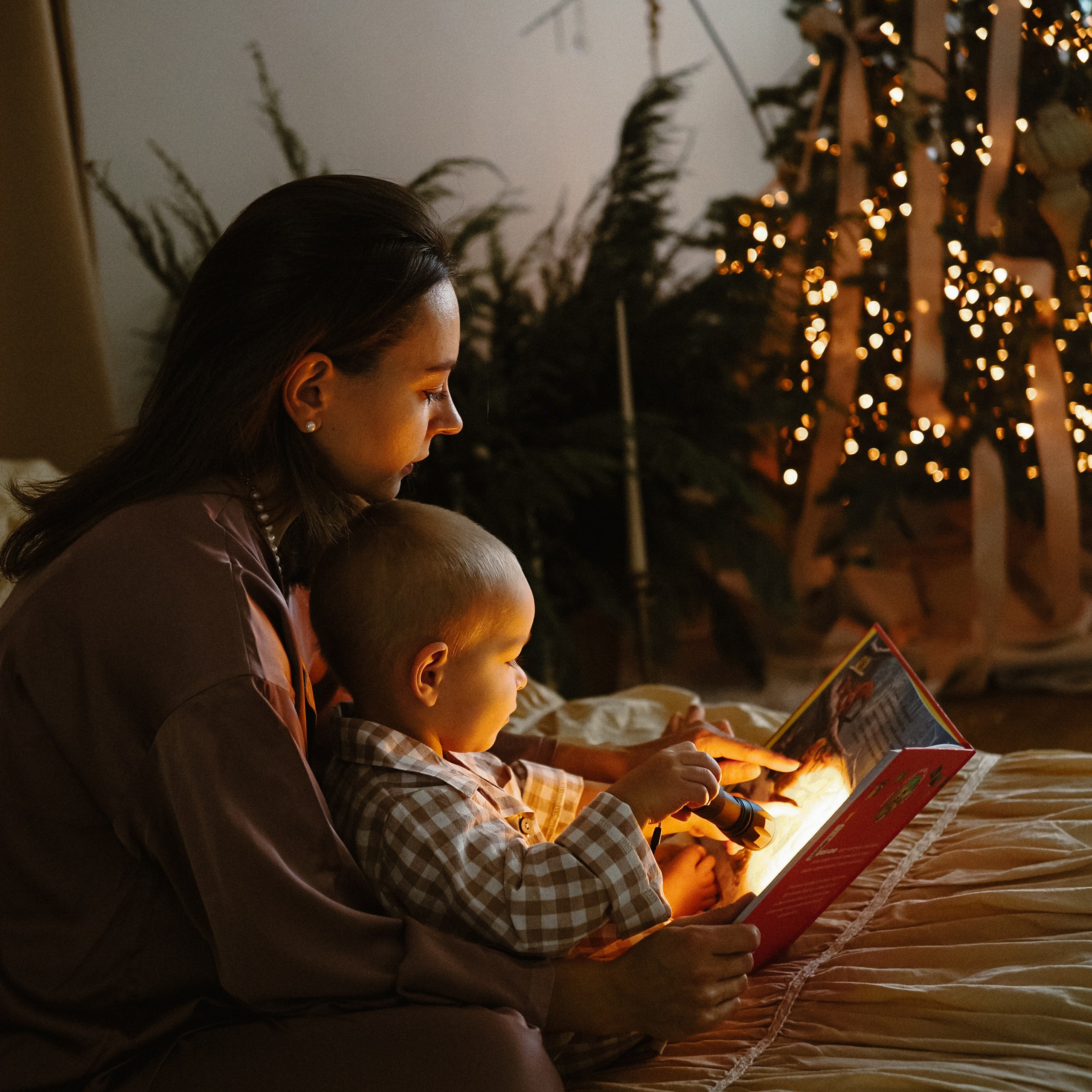 новогодняя сказка