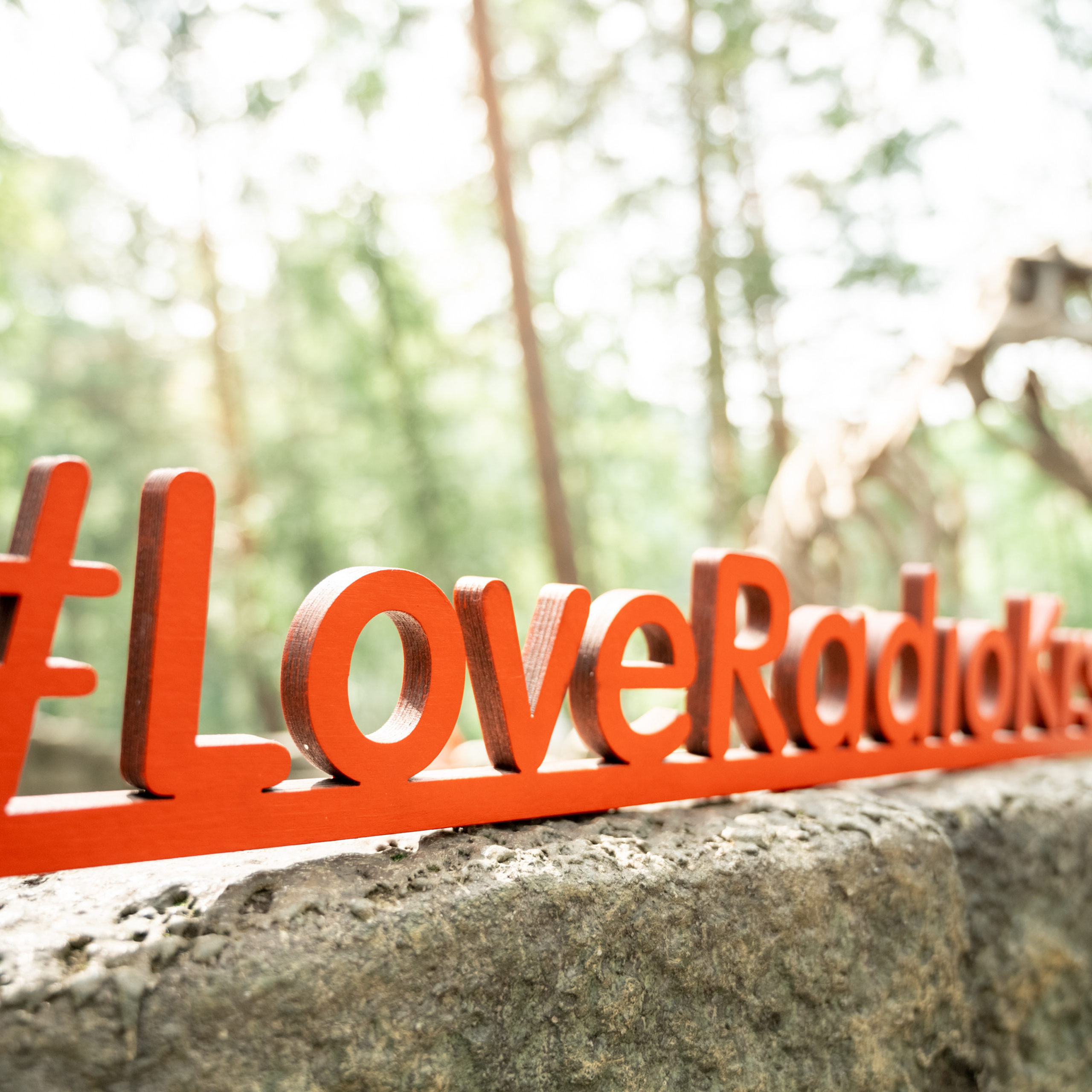 Отзывы о фотографе Новосёлове Антоне